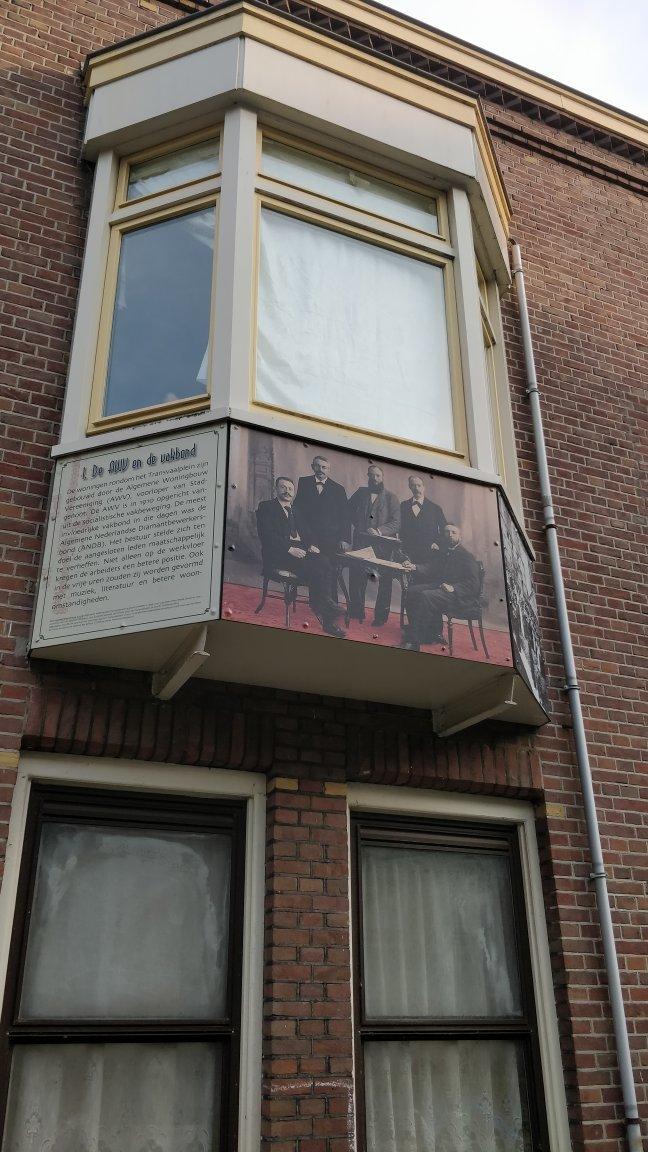 Davidsster door Mieke Blits