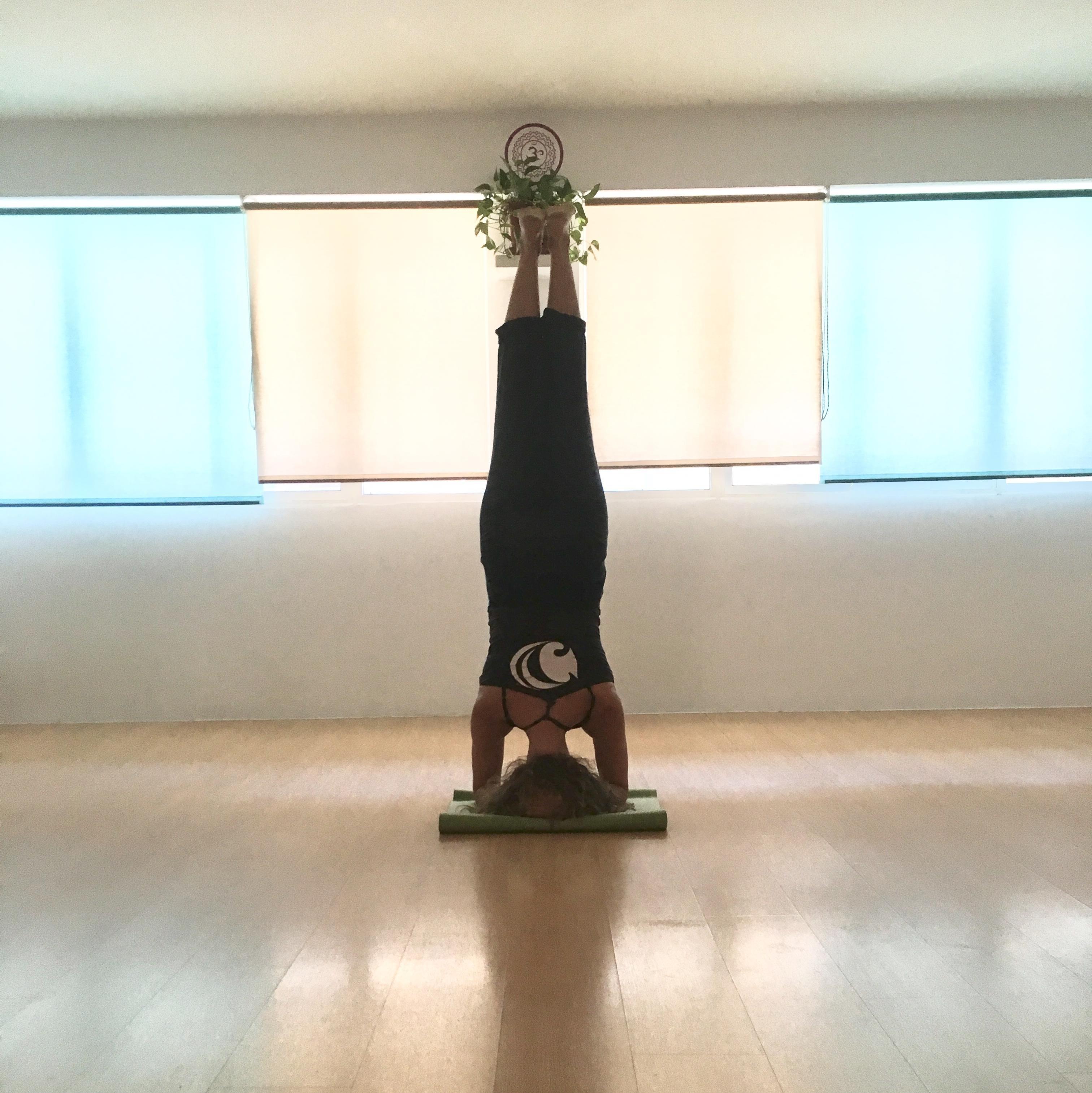 Karmuka Yoga