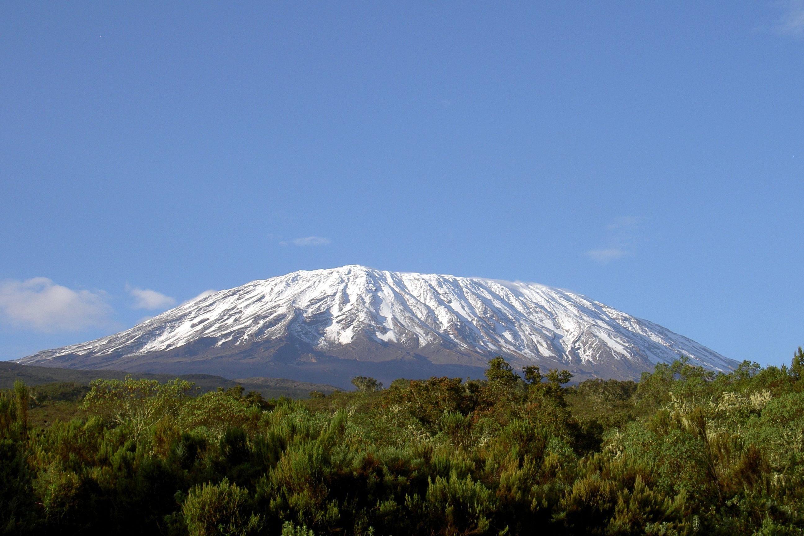 Kili Peacock Adventures