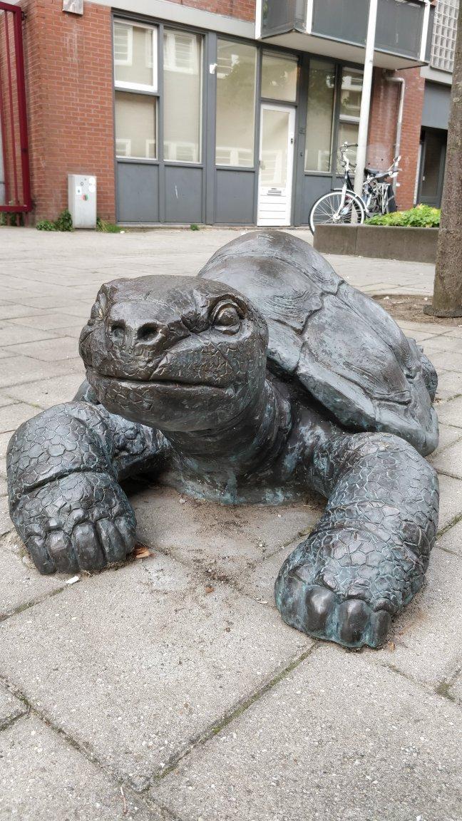 Onbekende artiest Schildpadden