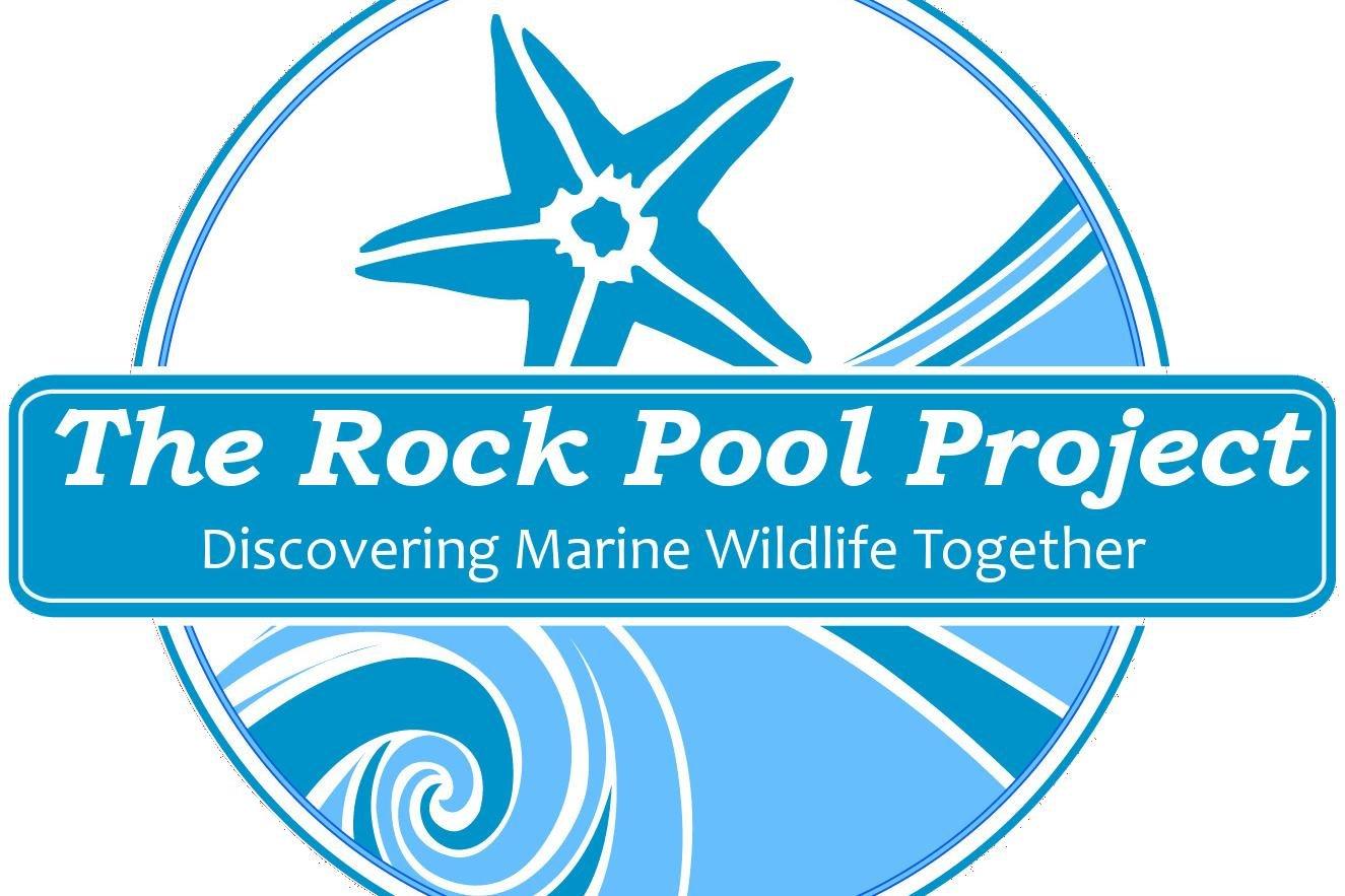 The Rock Pool Project