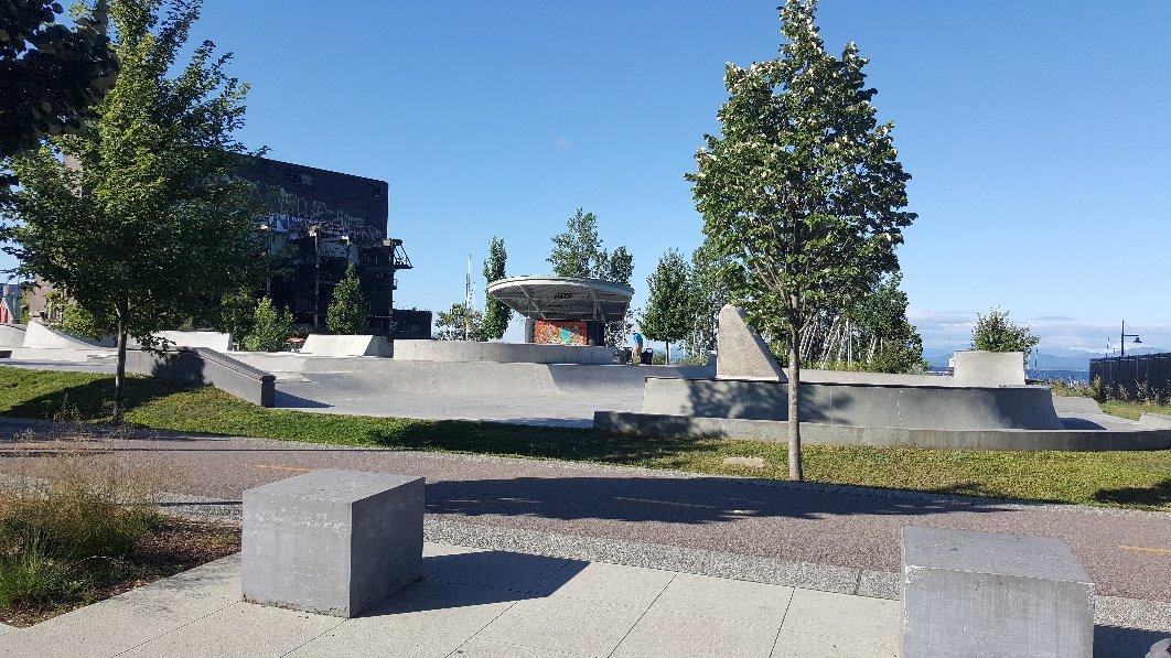 Andy A DOG Williams Skatepark
