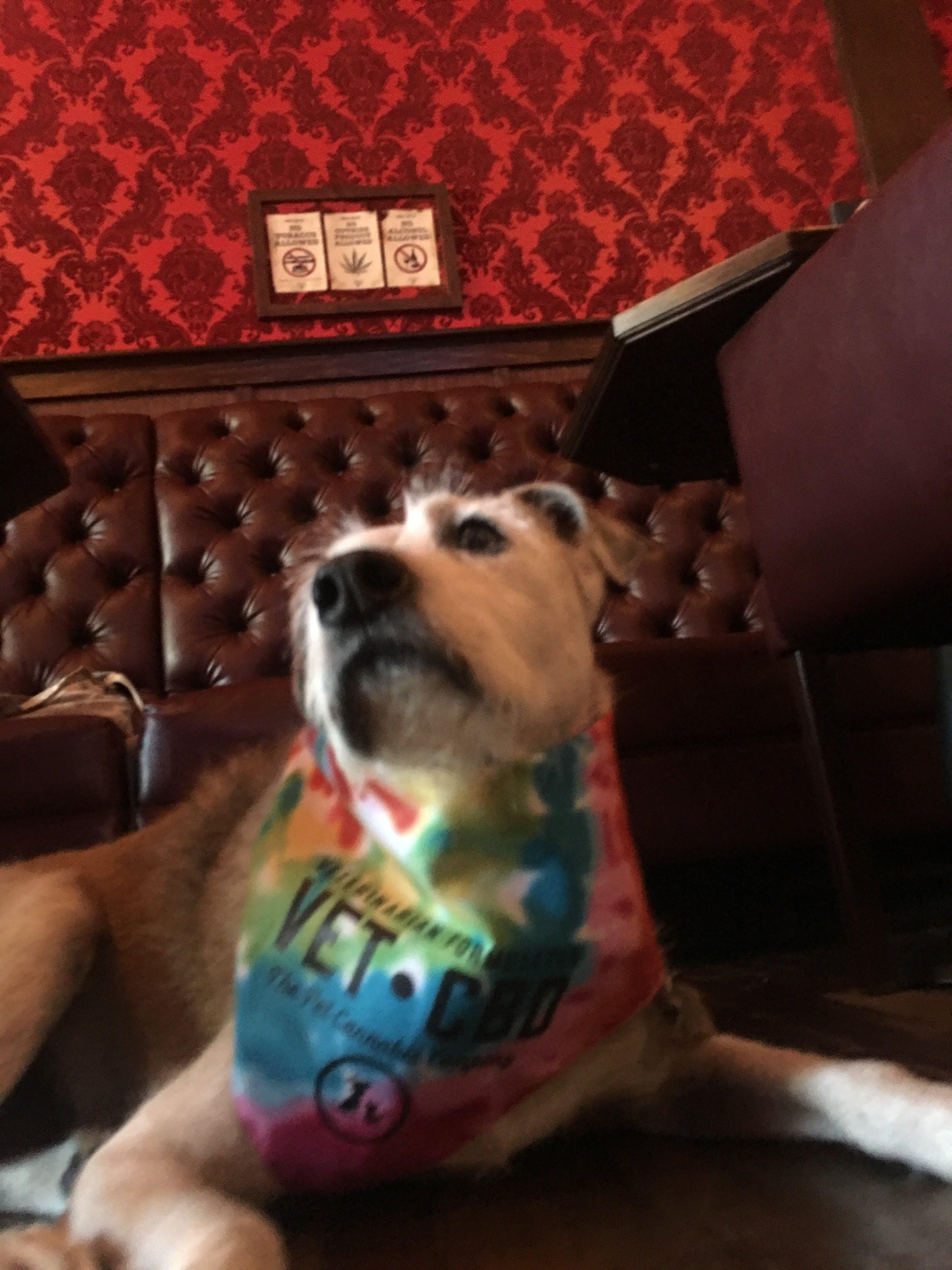 Barbary Coast Dispensary