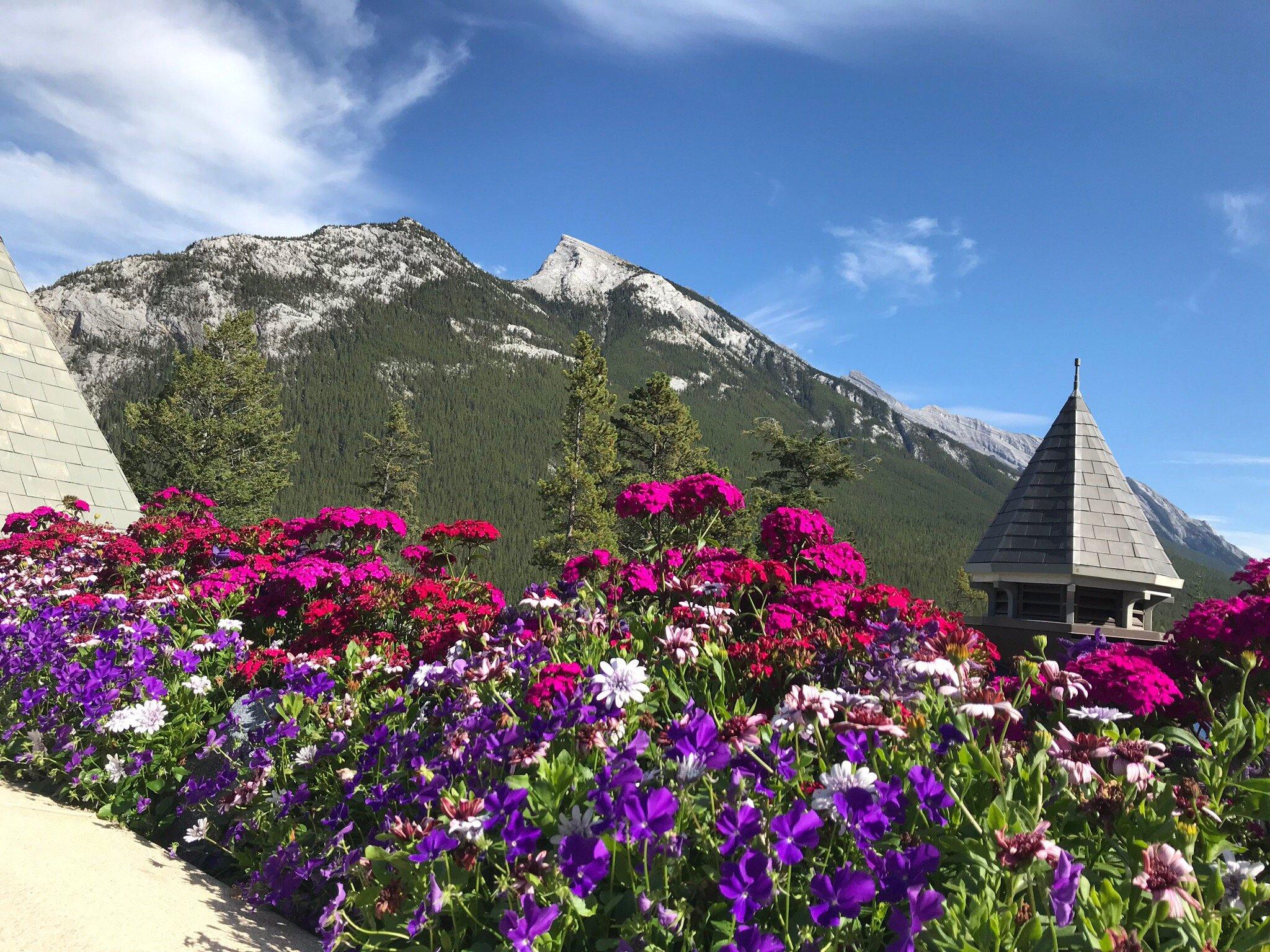 Photo by TableTalkLori