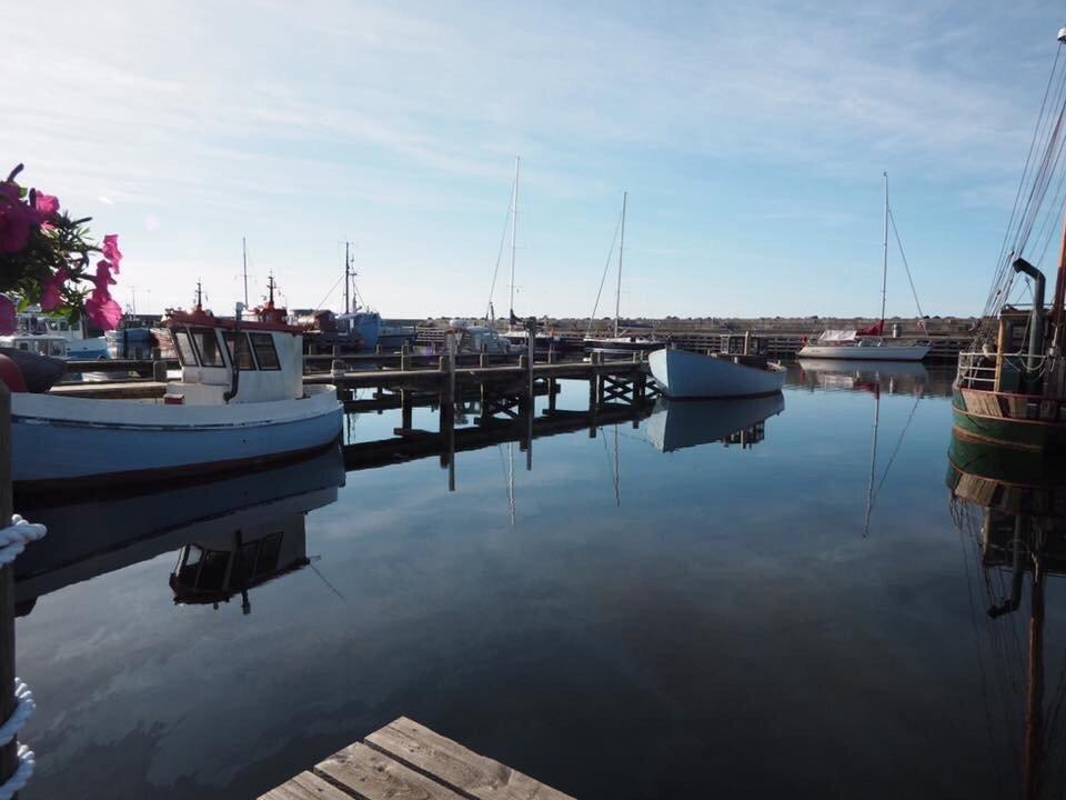 Cafe Noova Sjaellands Odde