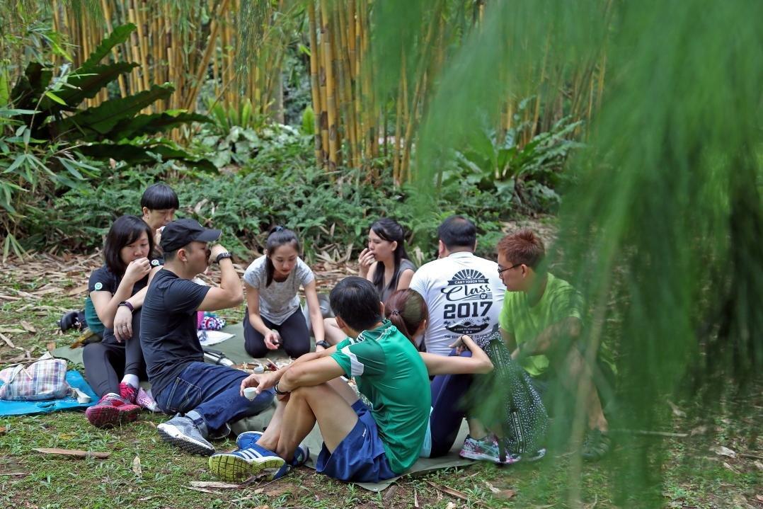 Nature & Forest Bathing Singapore