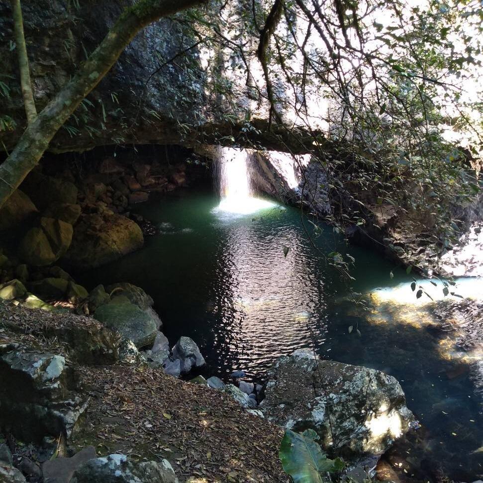 Surfers Paradise Tours