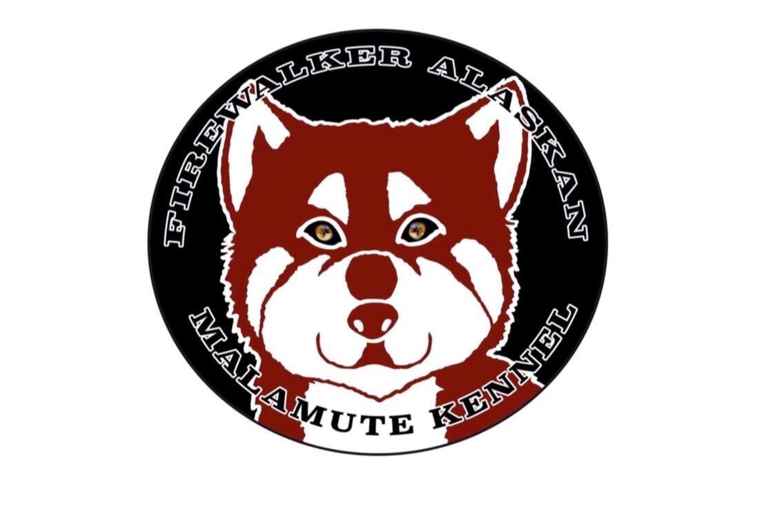 Firewalker Alaskan Malamute