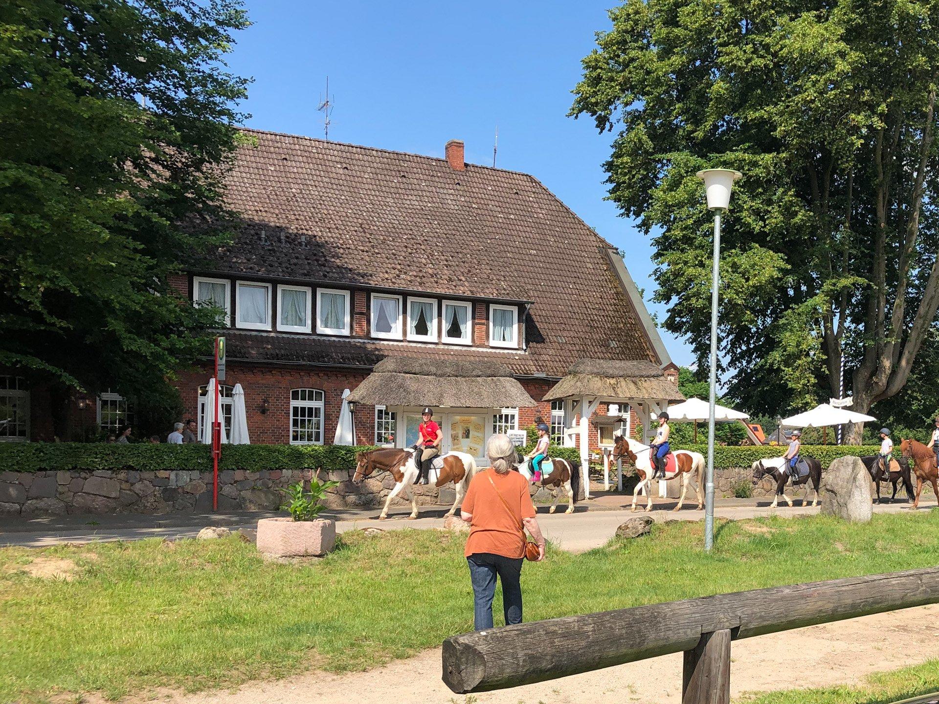 Heide-Landhaus Dohle GmbH