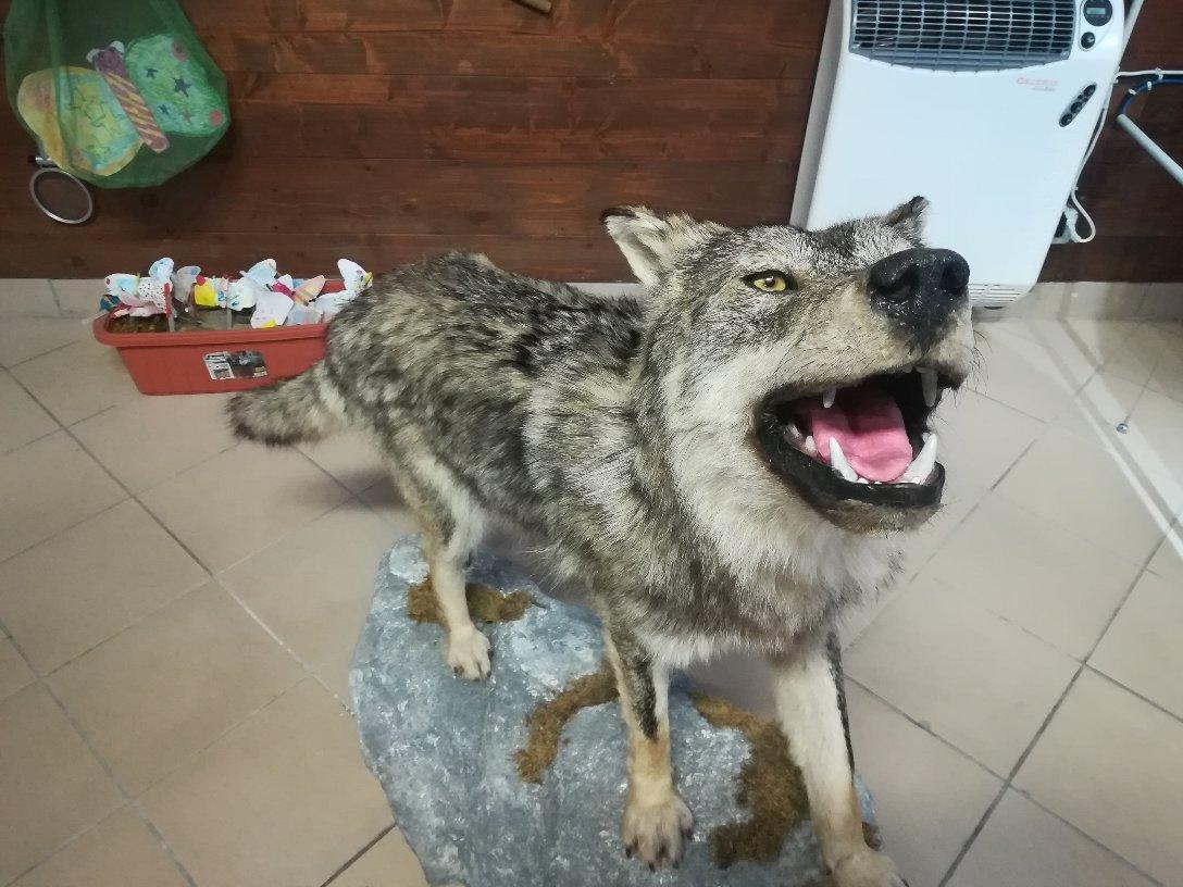 Centro Visitatori "Tradizioni e biodiversita in una valle fantastica"