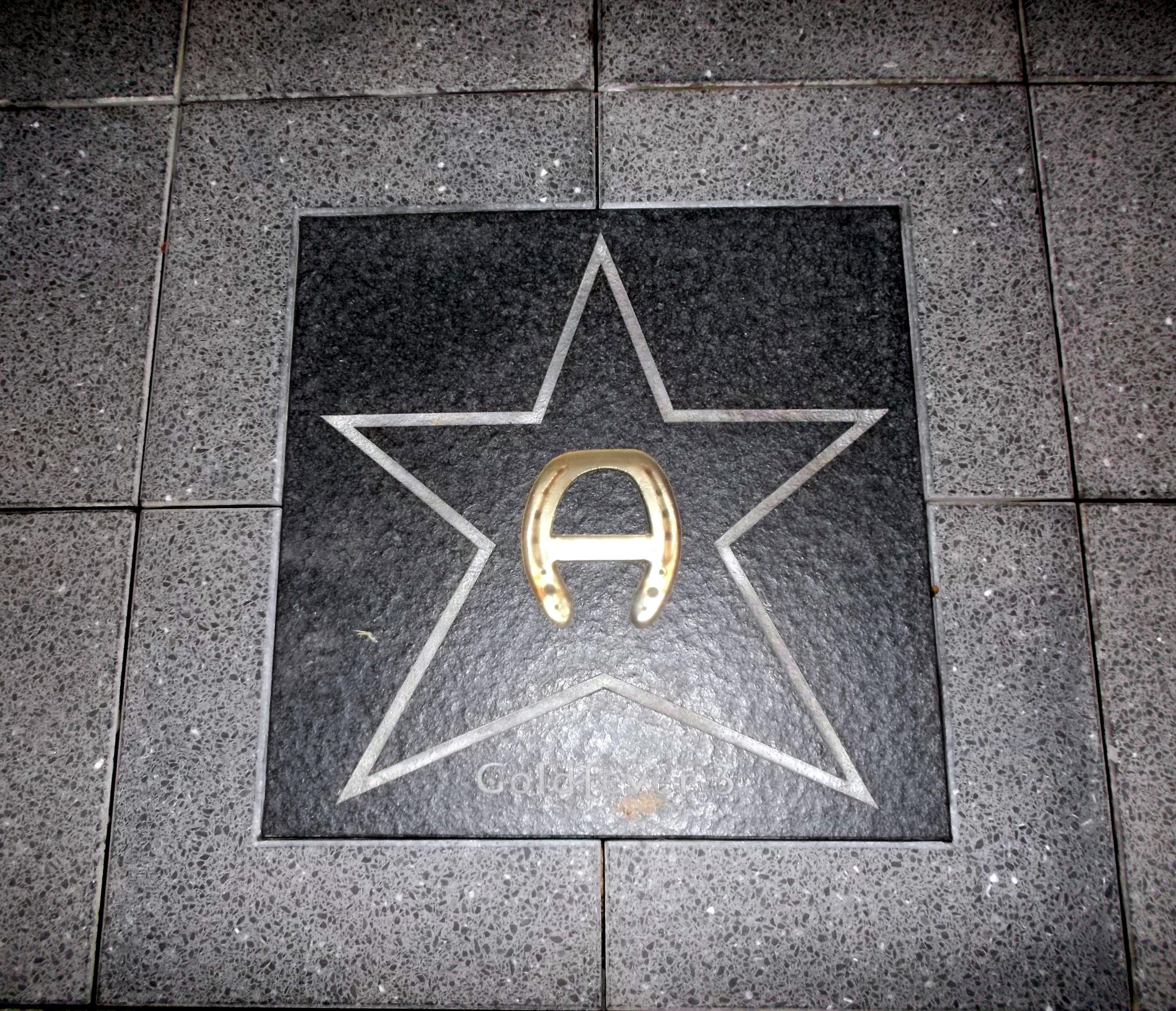 Walk of Fame in der Soers