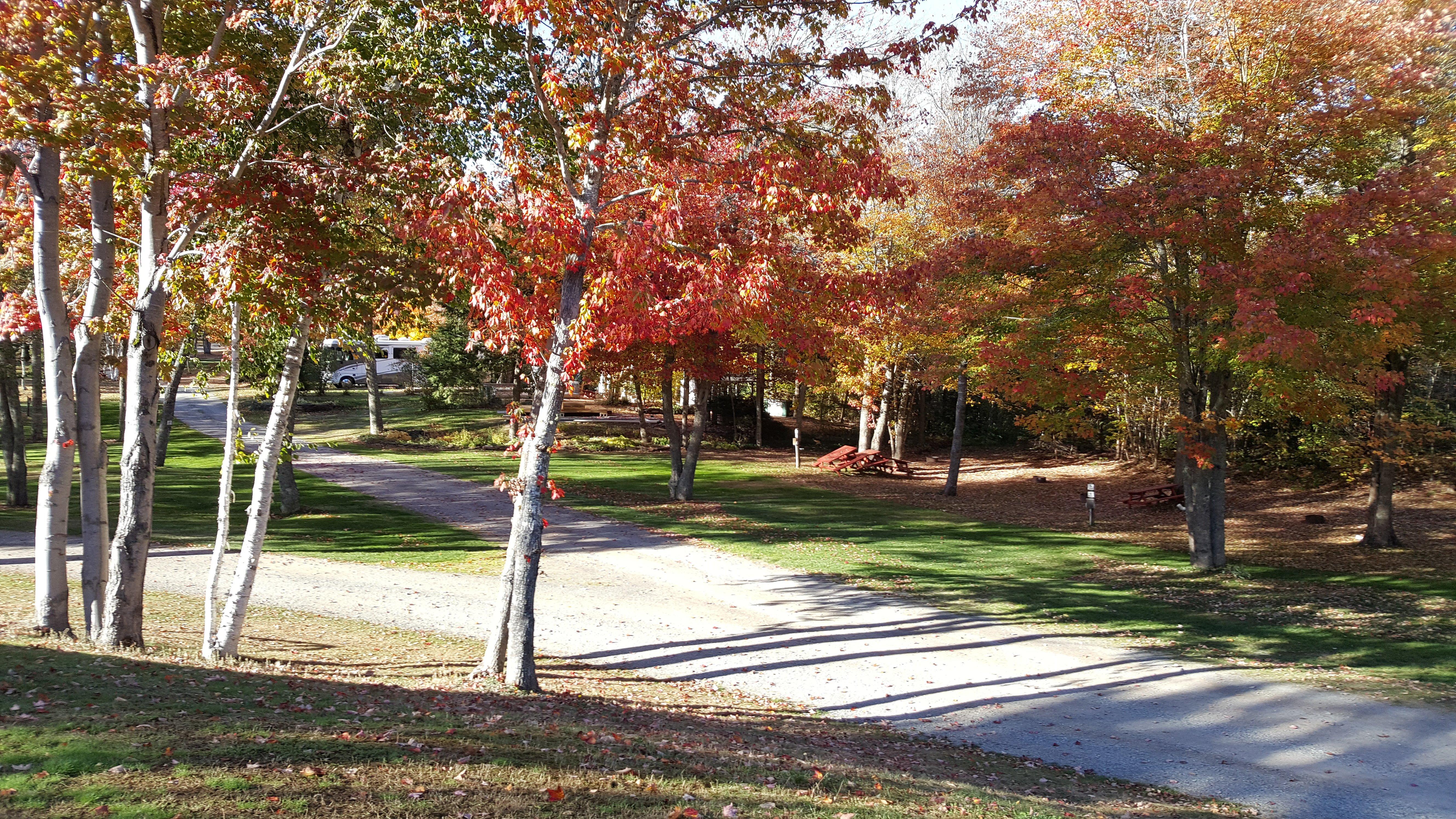 Highbury Gardens Campground and RV Park