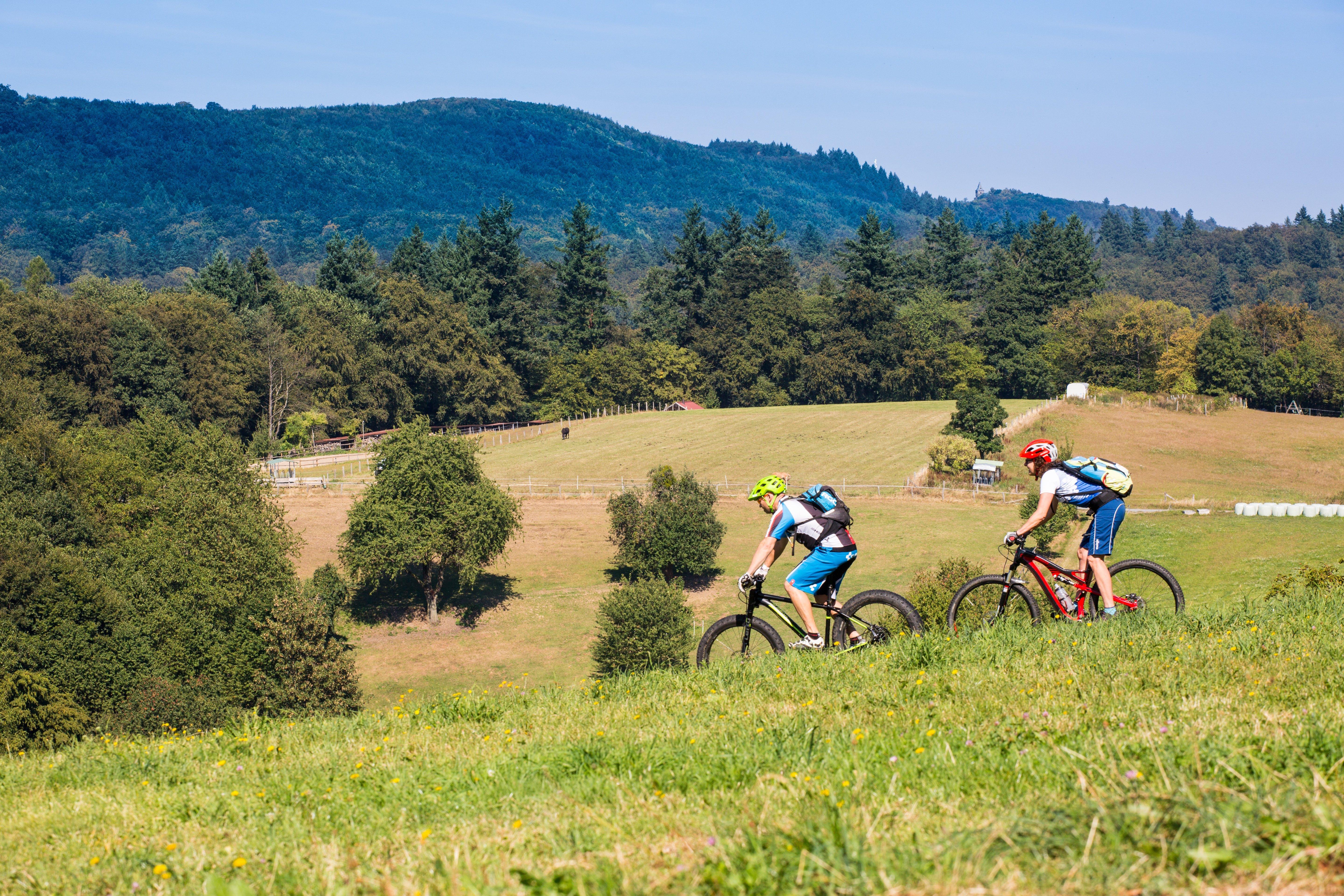 Mountainbike Ruhrgebiet