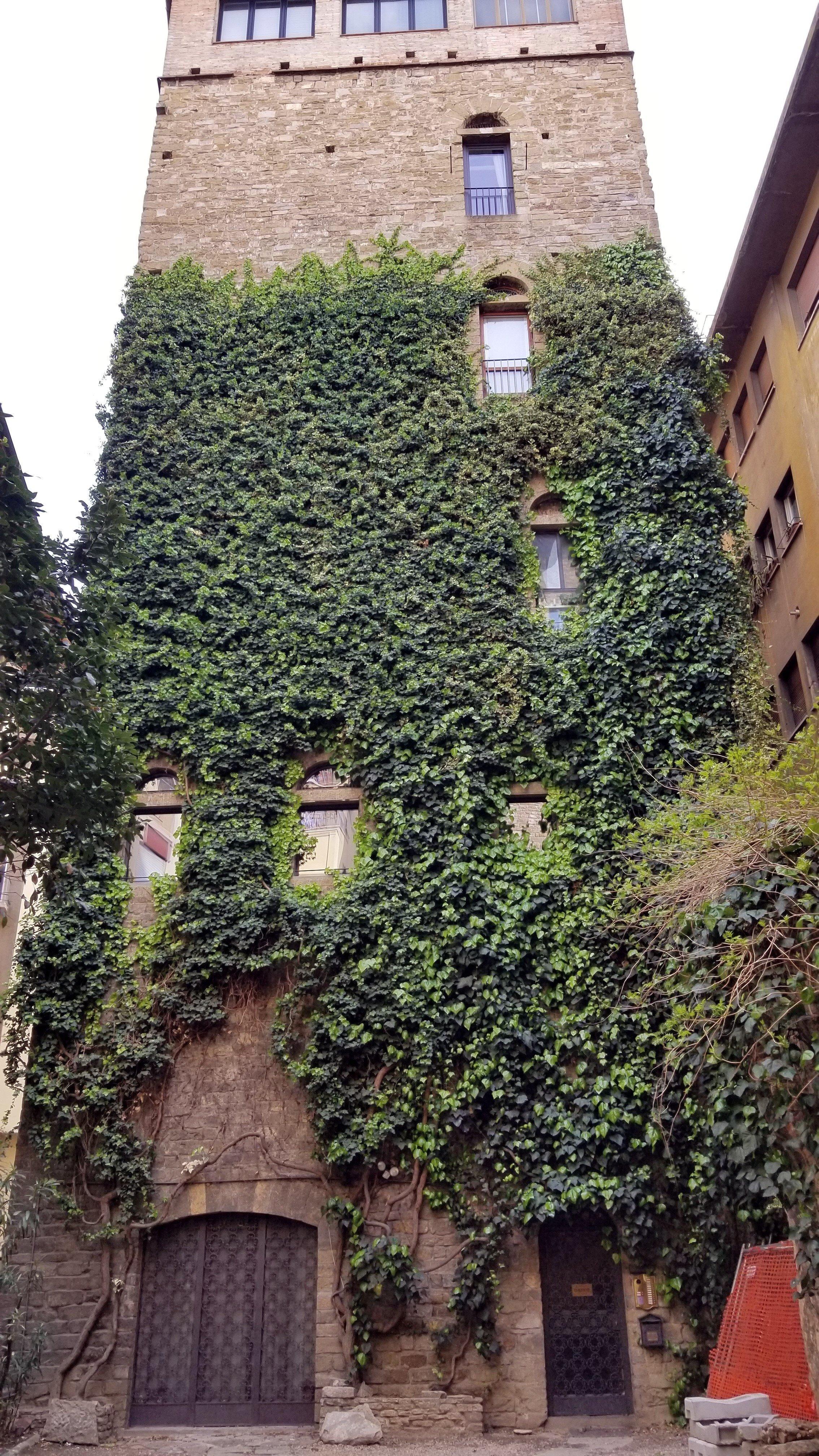 Photo by SoCalOregonian