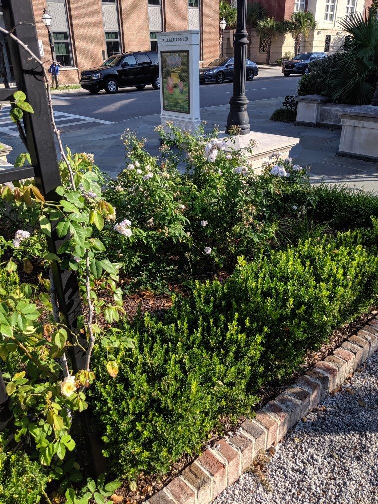 Photo by EvanGuthrie