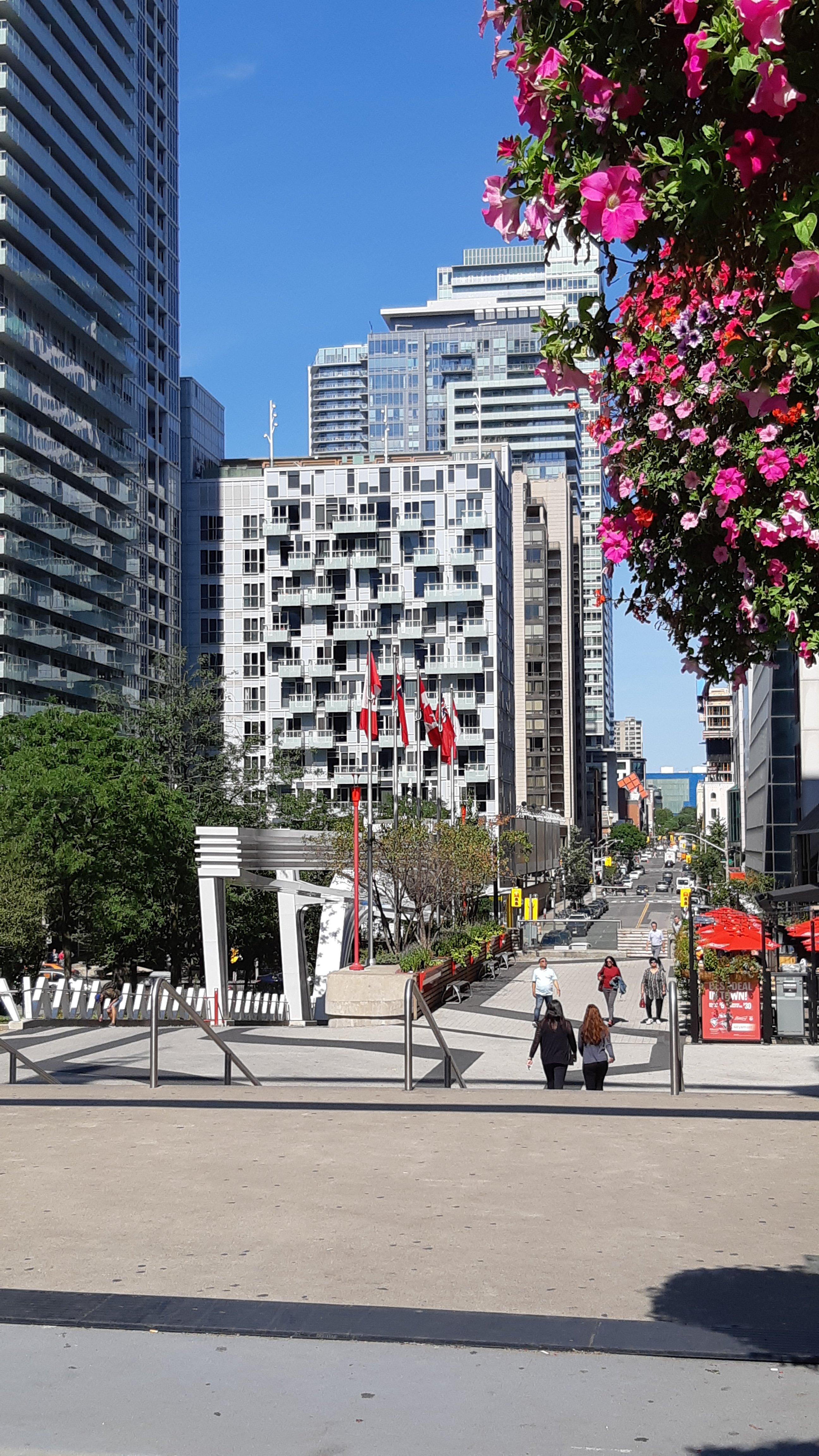 Photo by John_en_Jolanda