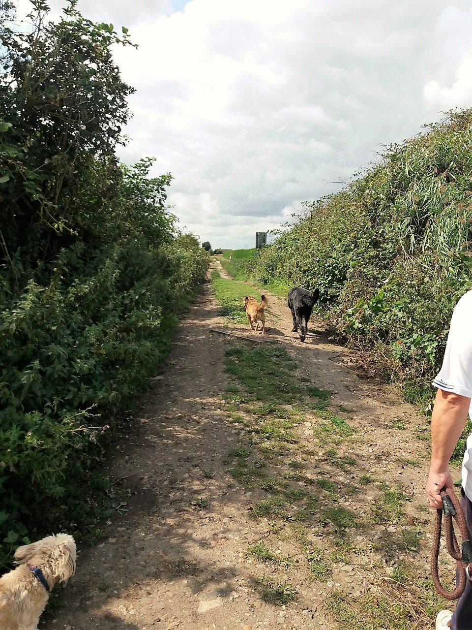 Rings End Nature Reserve