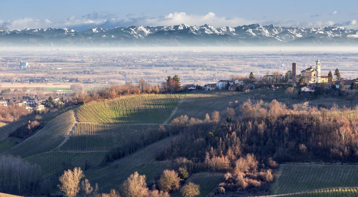 Tenute Tonalini 1865