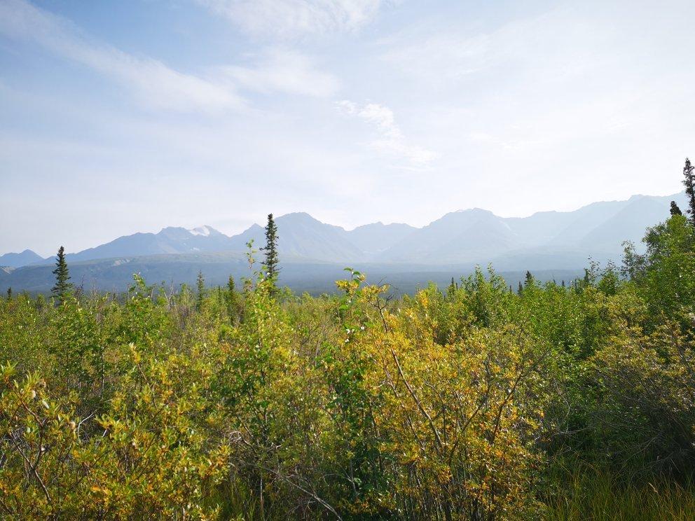 Photo by Romain49600