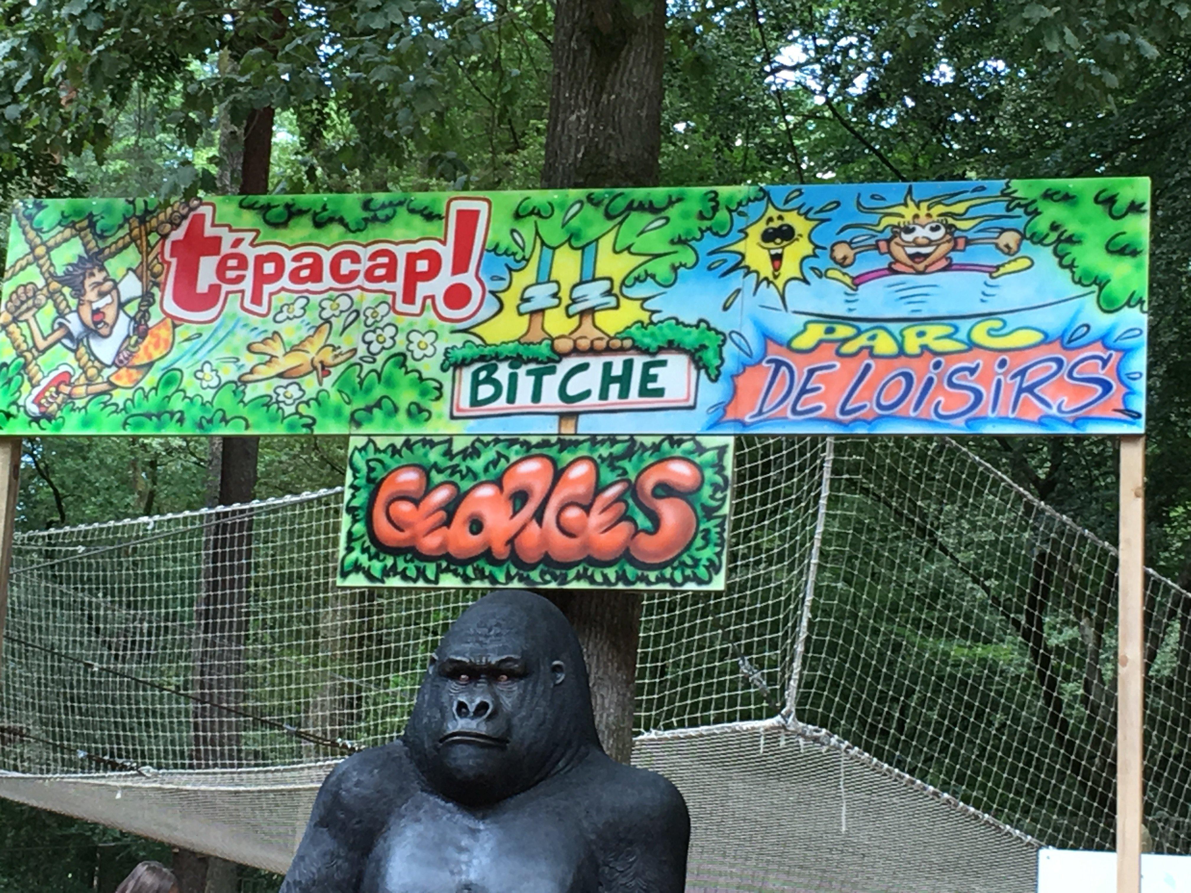 La Forêt Des Défis