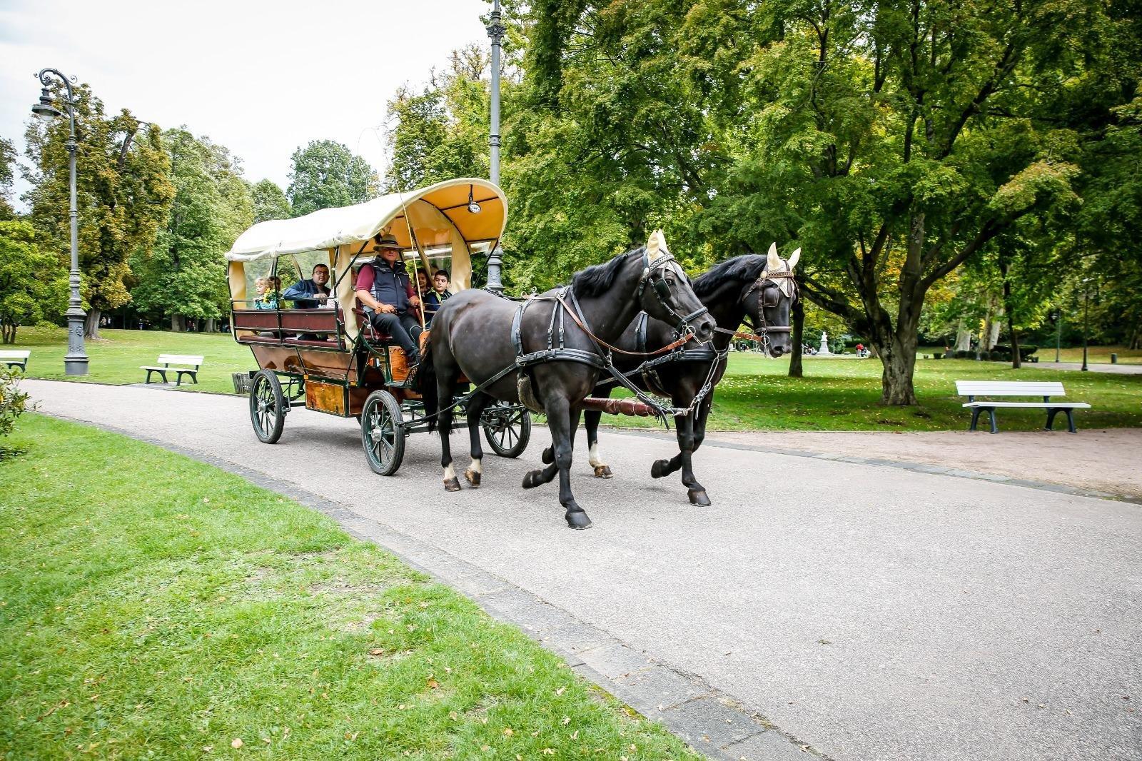 Lendles Kutschfahrten