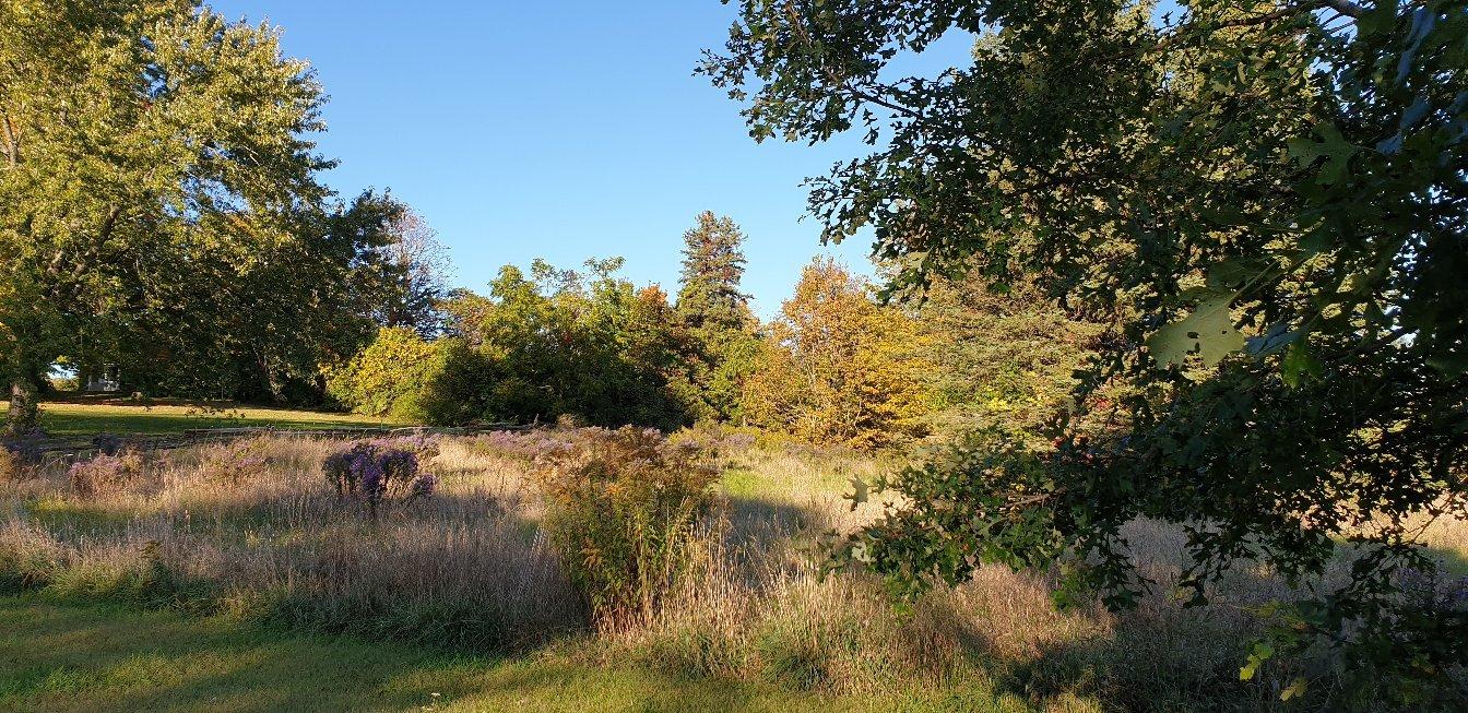Proctor Park Conservation Area