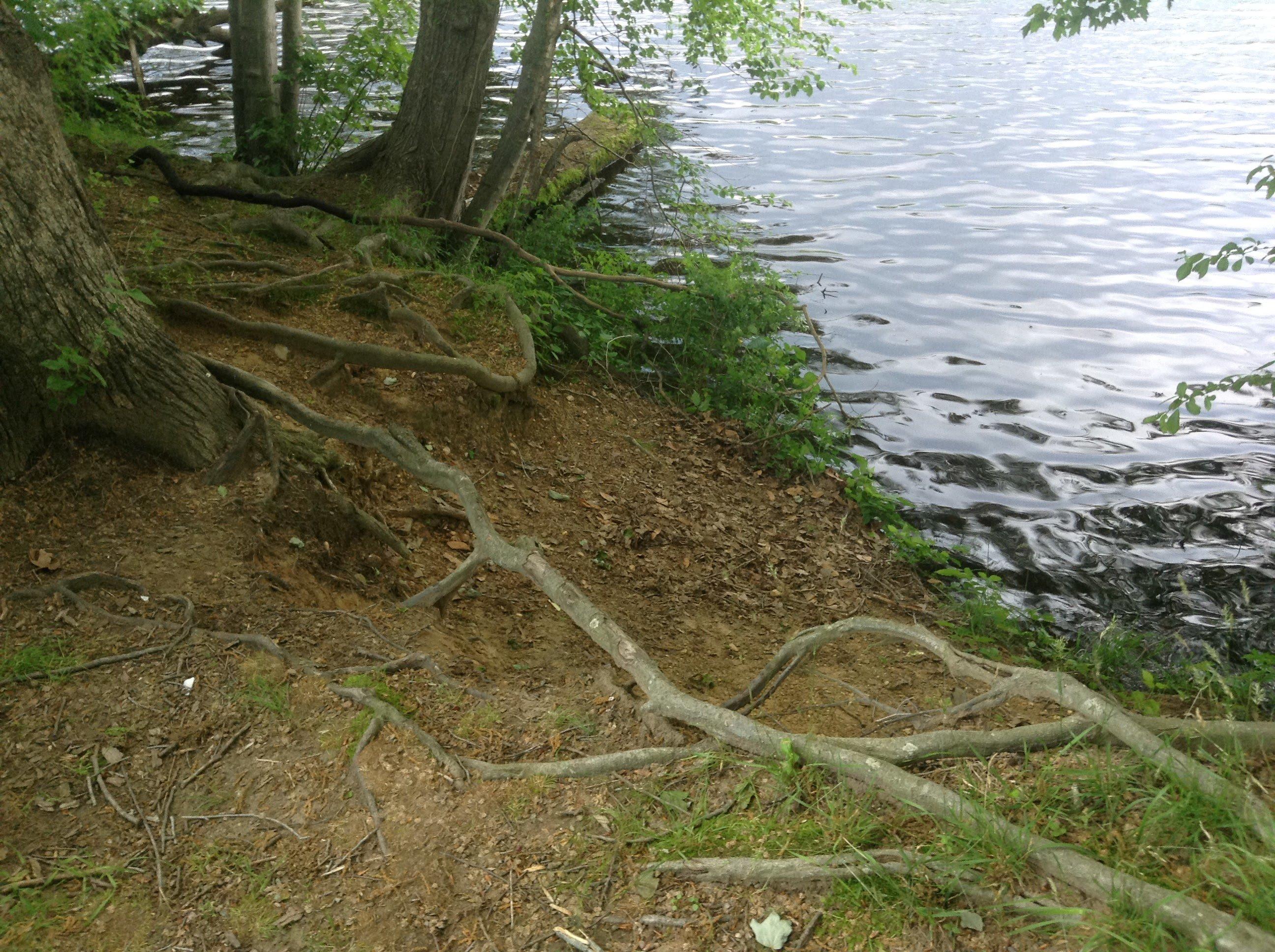 Photo by shannonry340