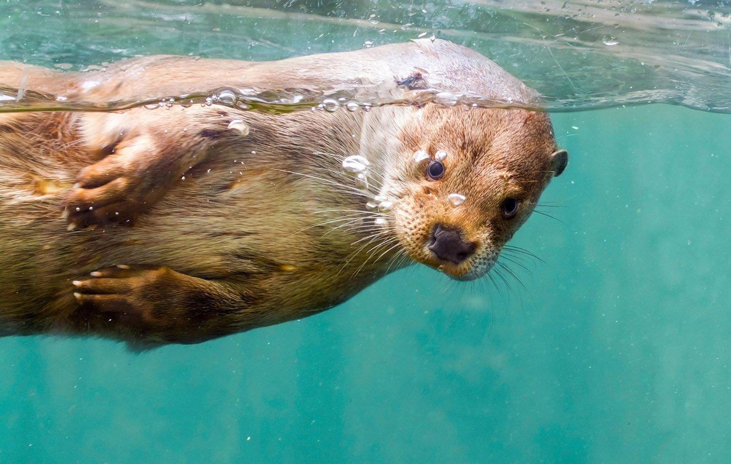 AQUA Aquarium & Wildlife Park