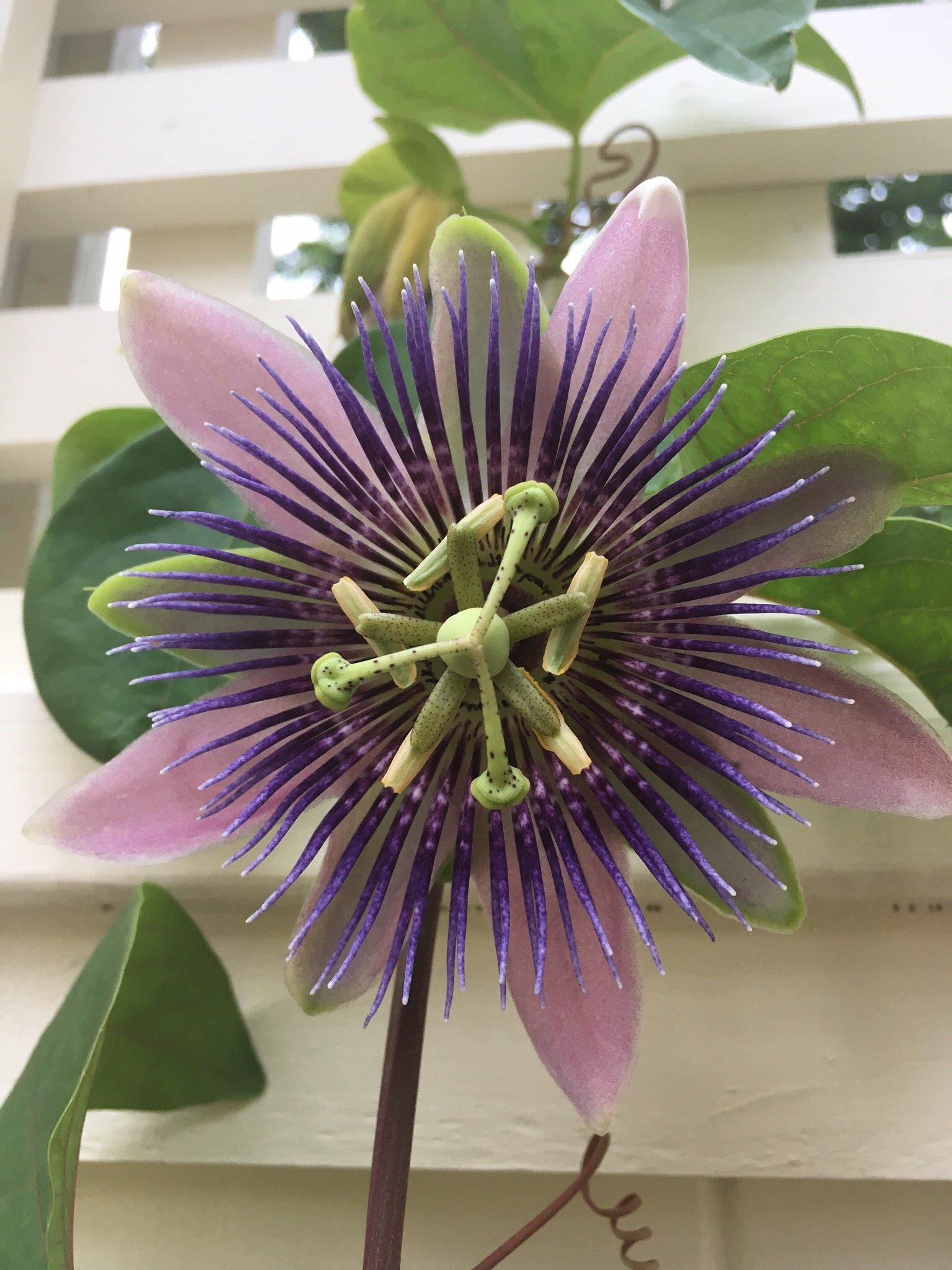 Photo by C2205RLerinc