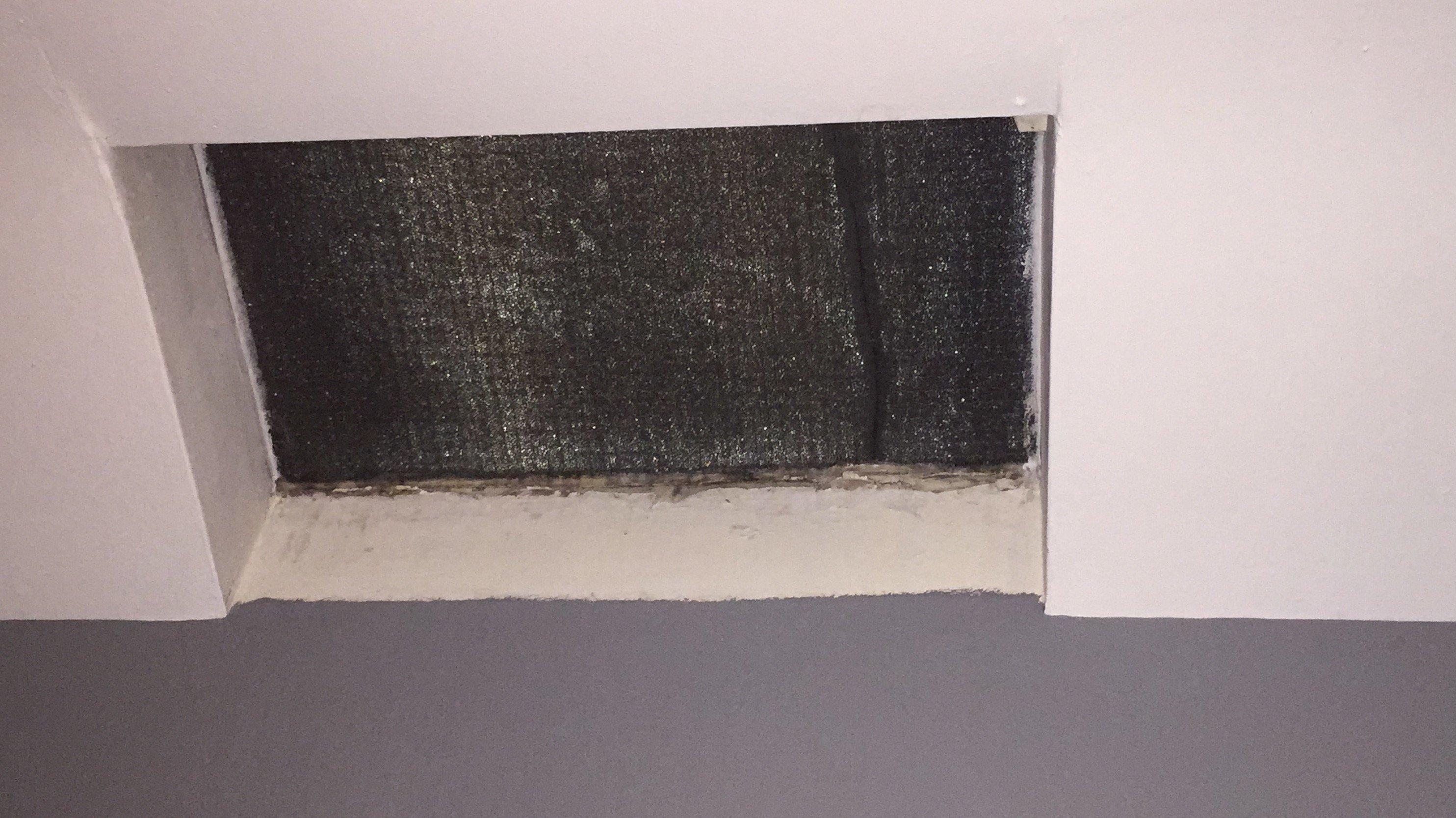 Photo by balitina2017