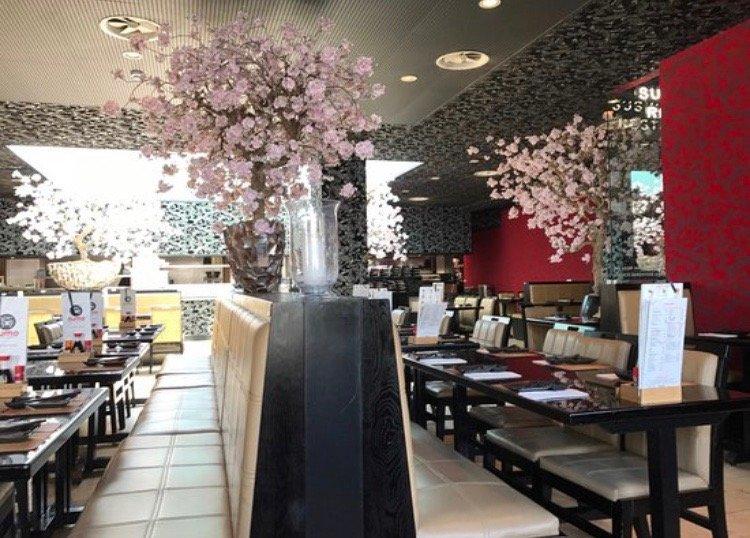 Yasumi Sushi & Grill