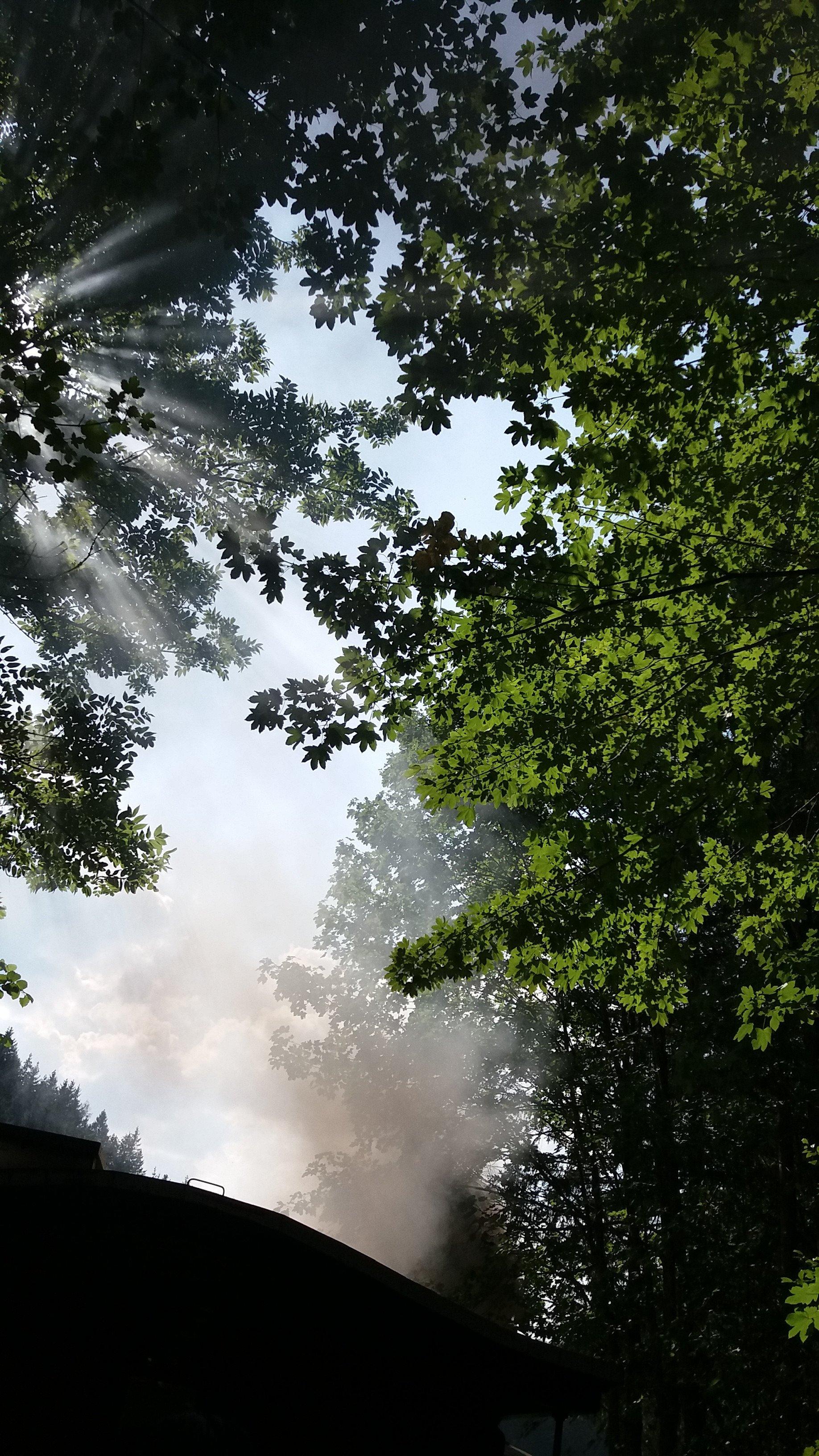 Museumstramway Mariazell