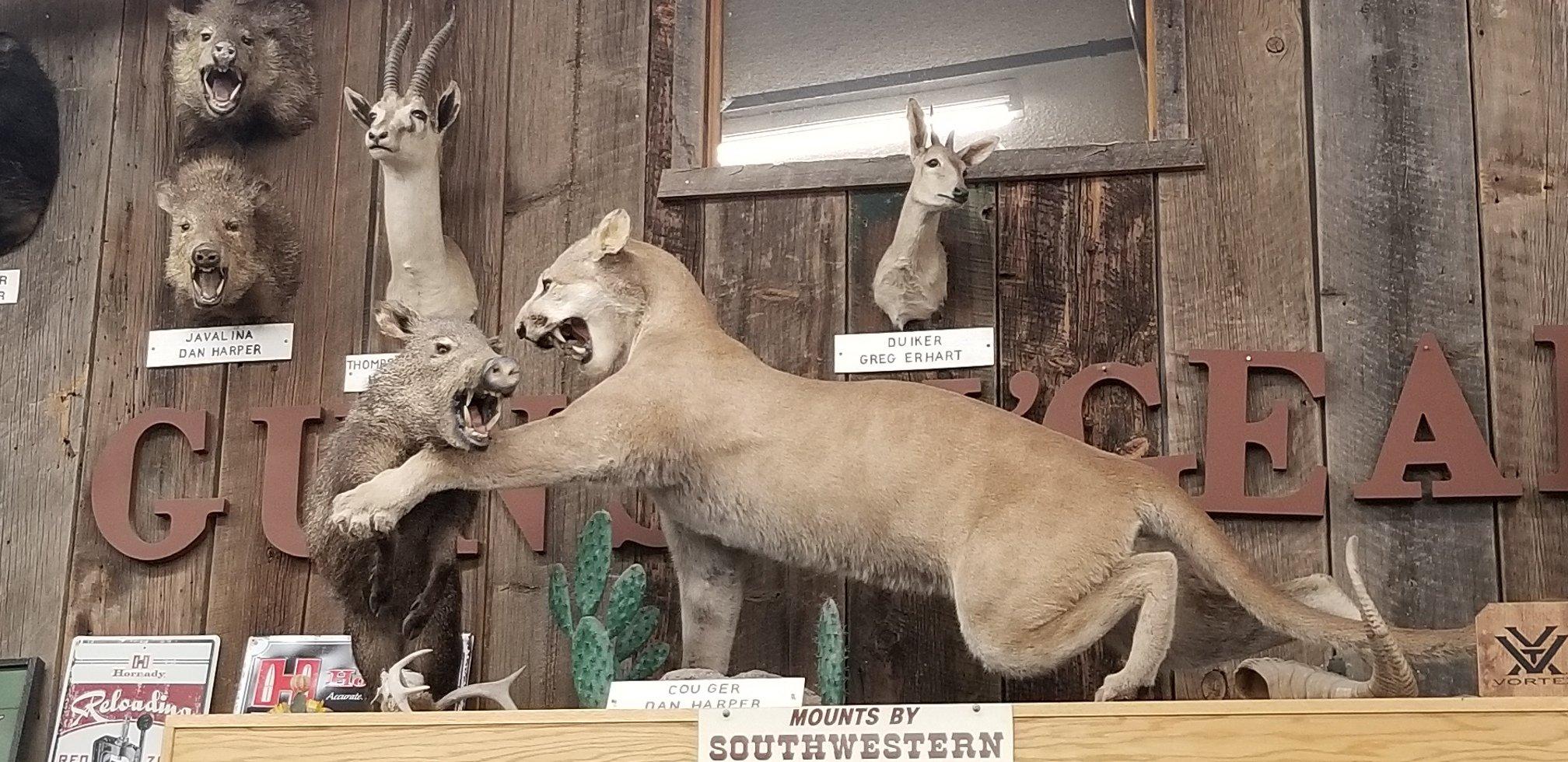 Western Drug & General Store