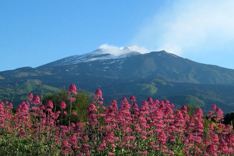 VisitEtna