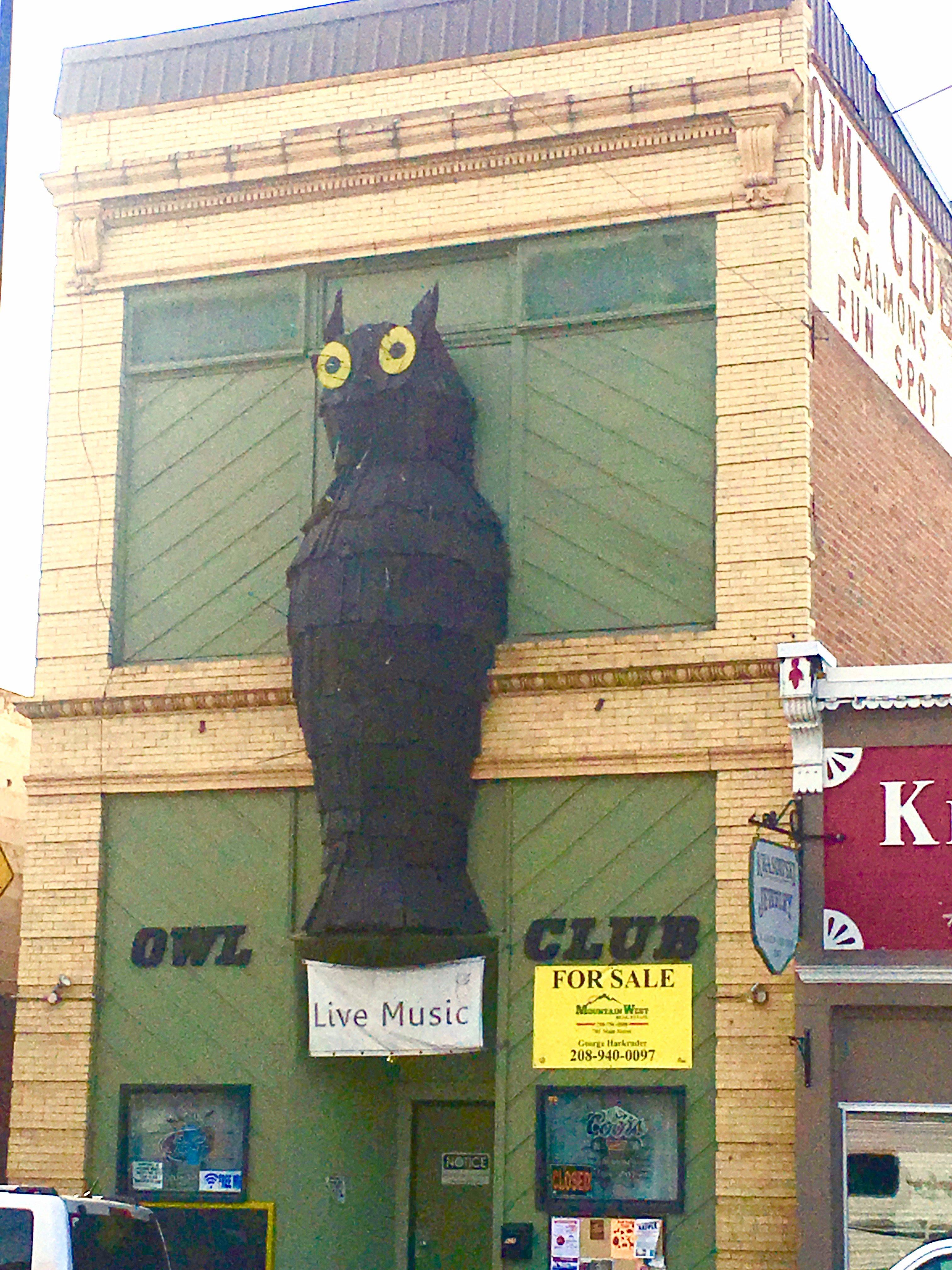The Owl Club