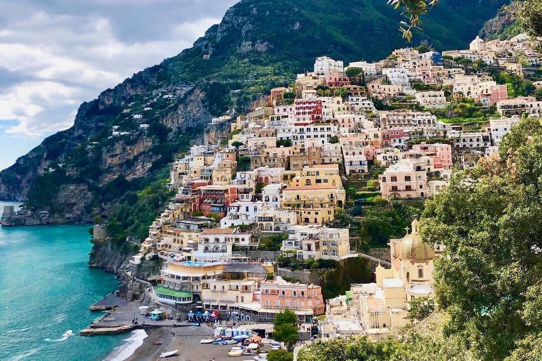 Body Synergy FitCation