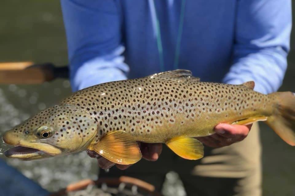 Big Timber Fly Fishing
