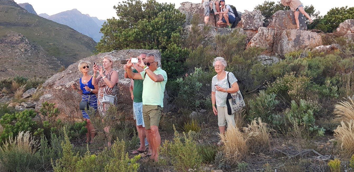 Tulbagh Tractor Ride