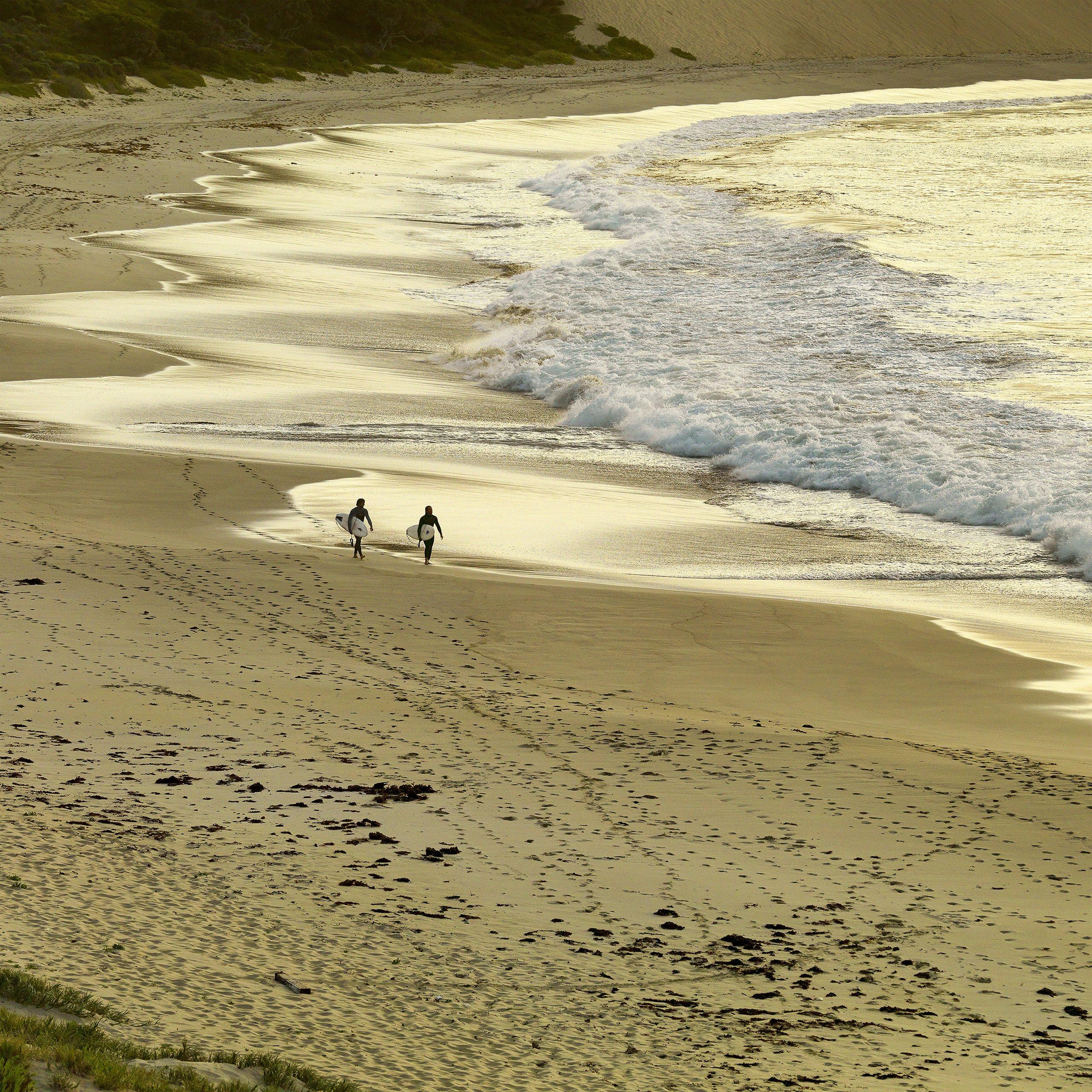 Richard Smyth - Wild Earth Images