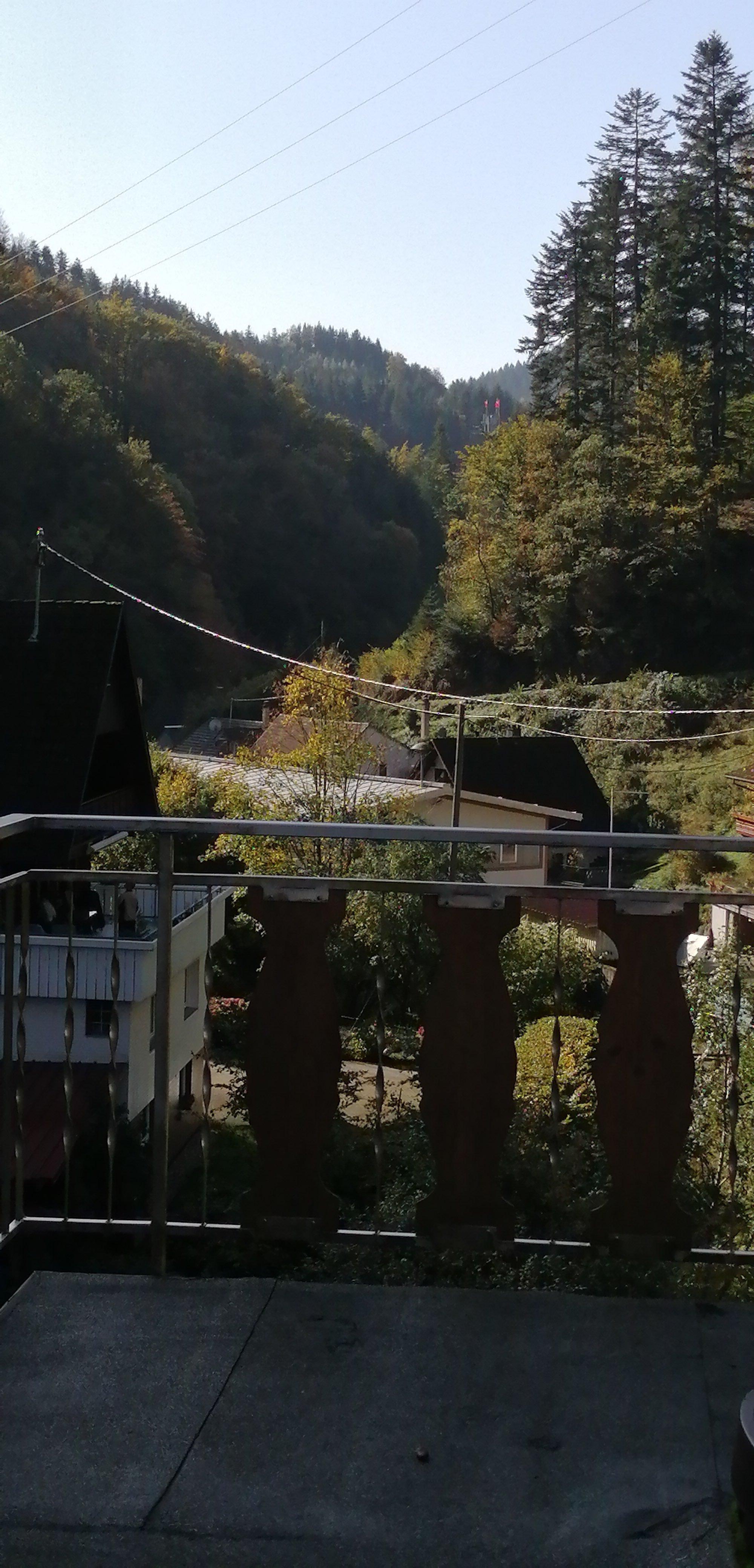 Hoferer Hotel-Penison