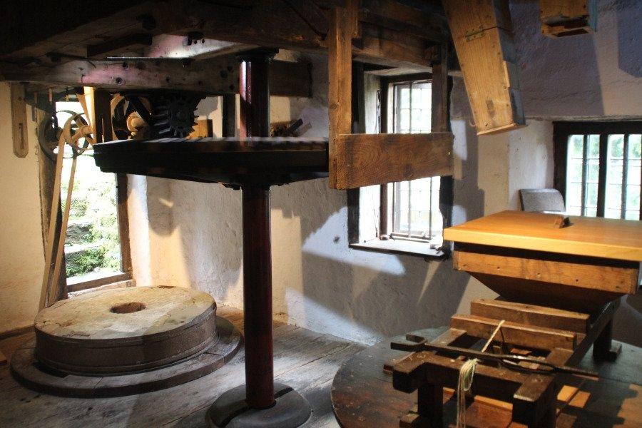 Photo by swift-simba