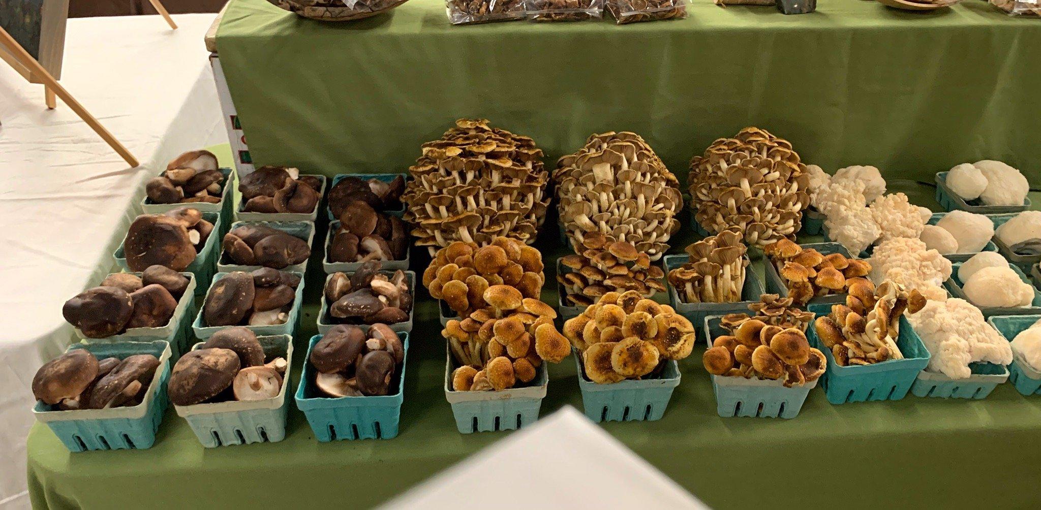 Dorset Farmers Market