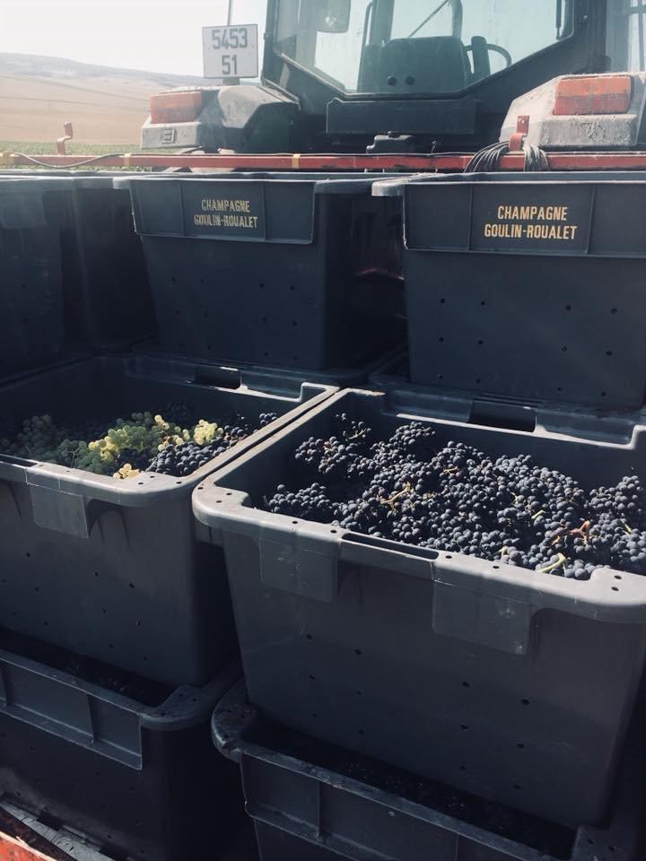 Champagne Goulin-Roualet