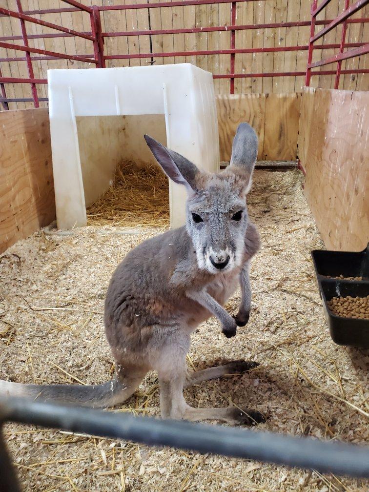 Photo by farmgurl1973