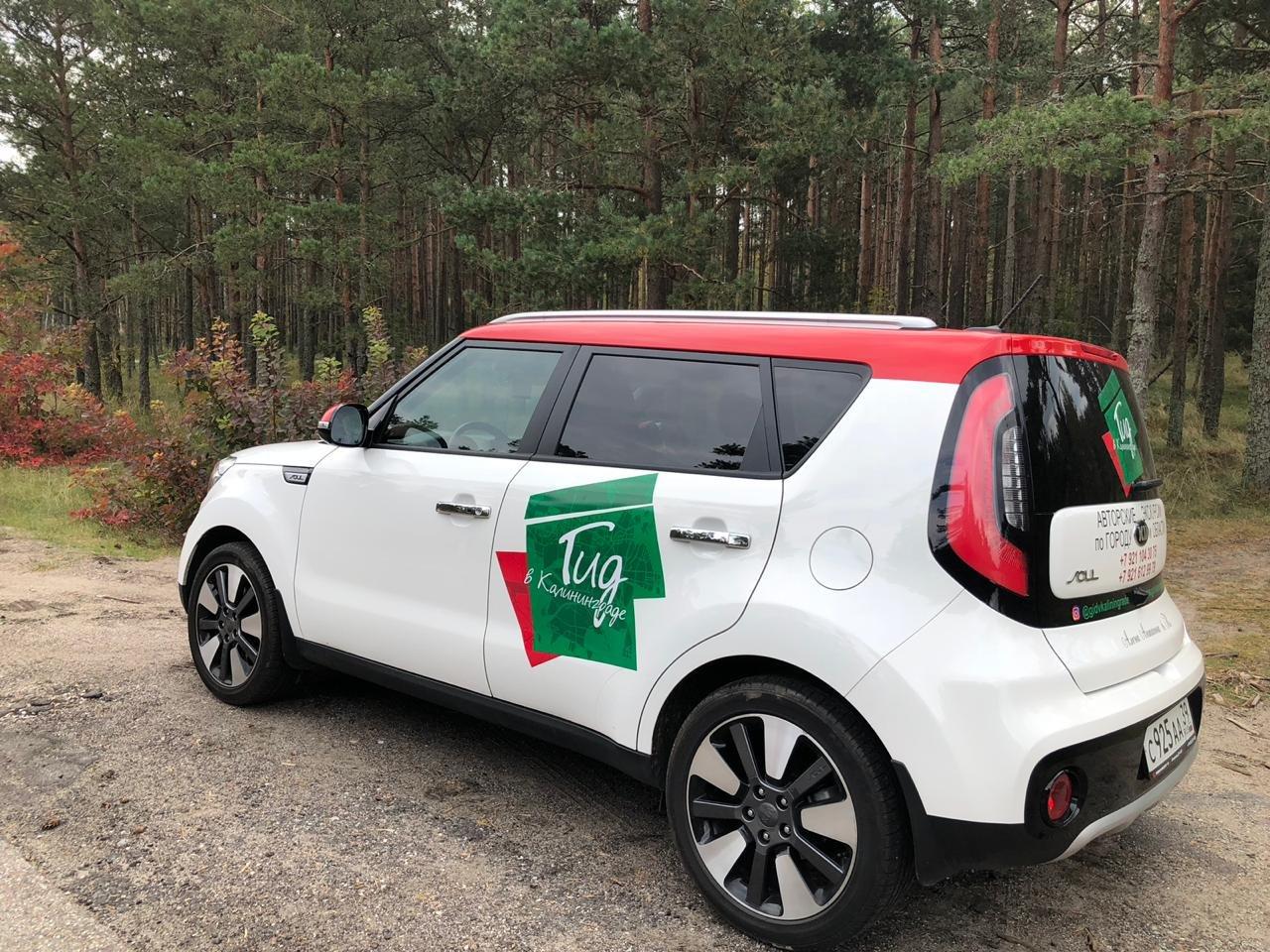 Guide in Kaliningrad Alena & Co