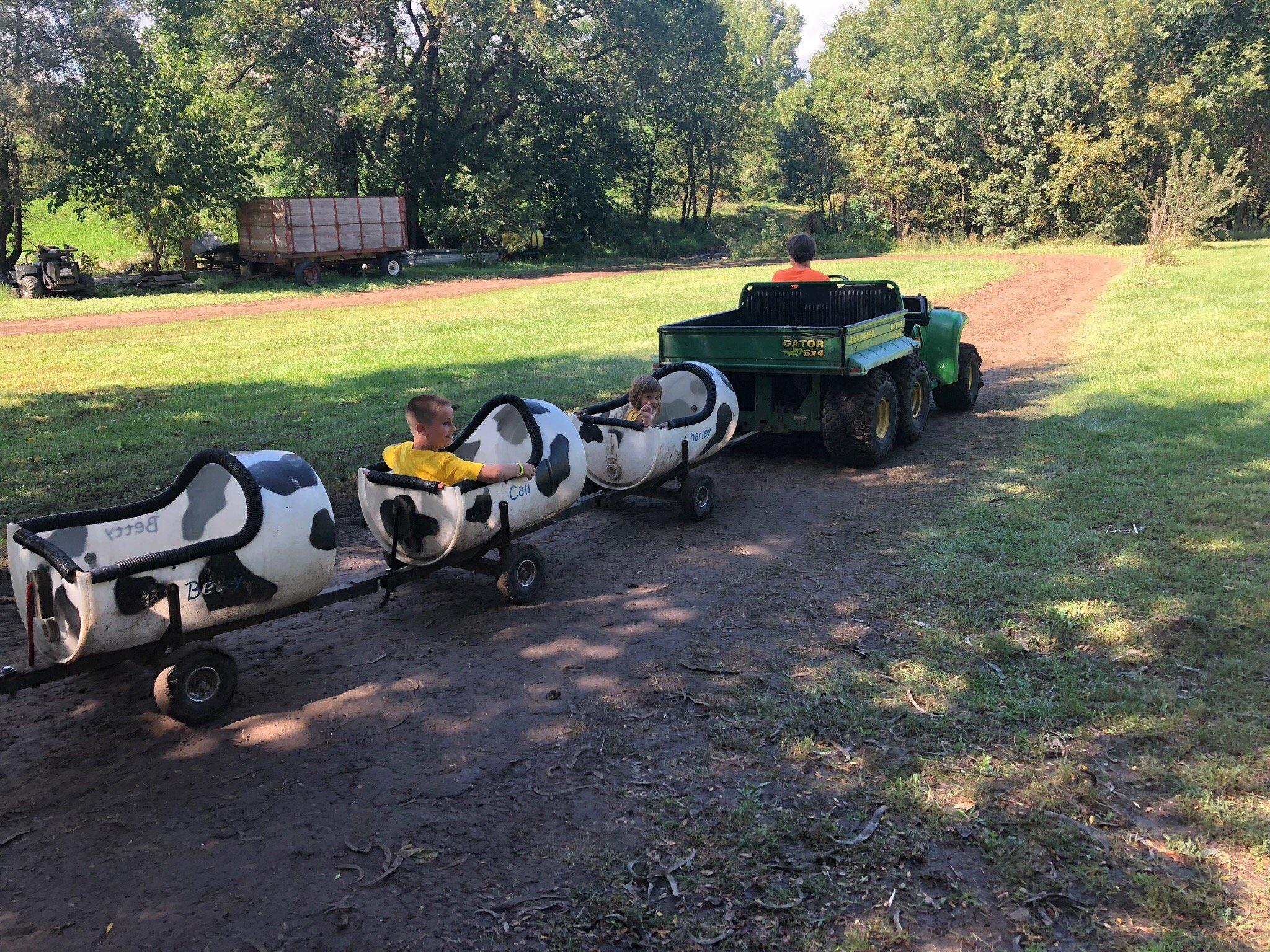 Skinny Bones Pumpkin Patch