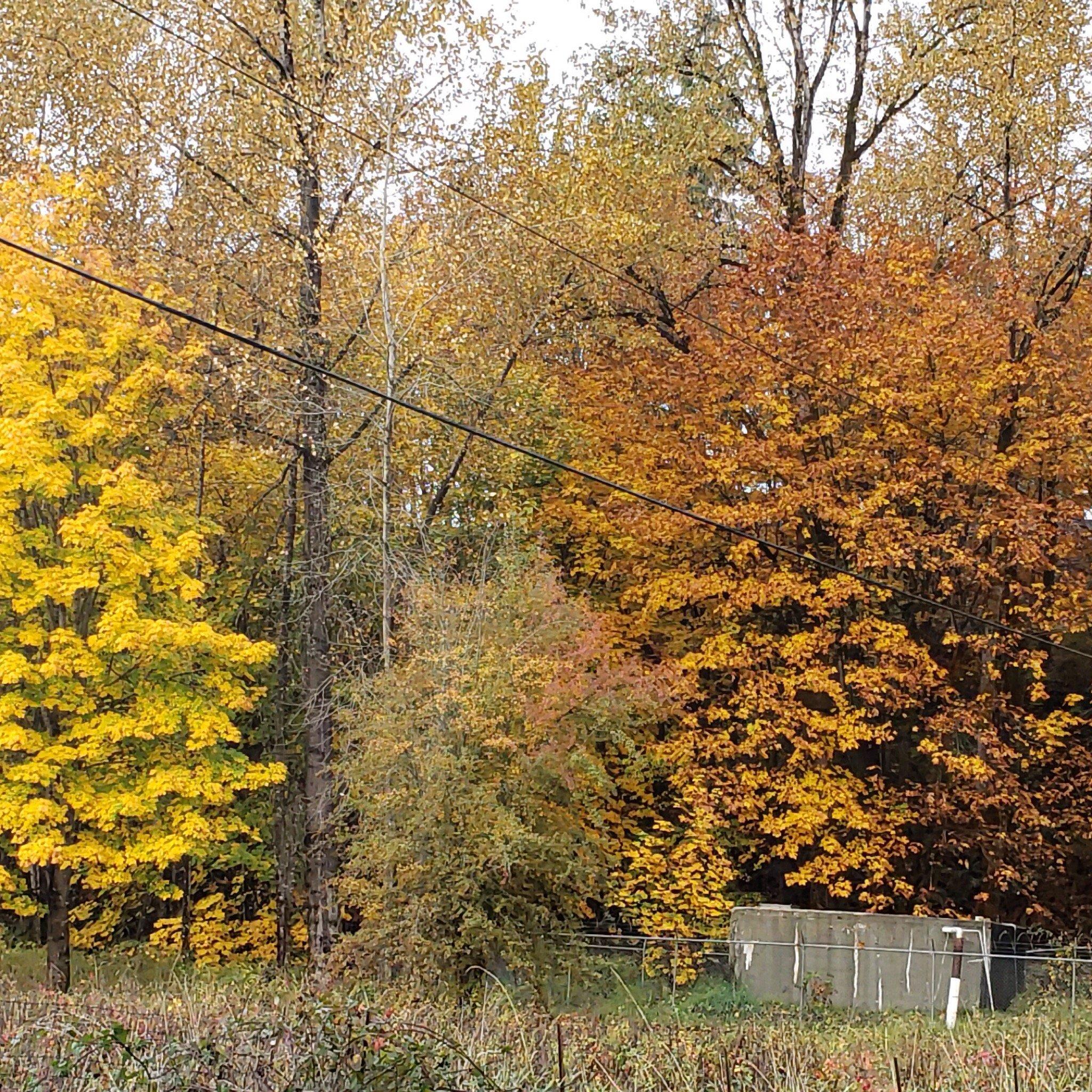 Riverbend Campground