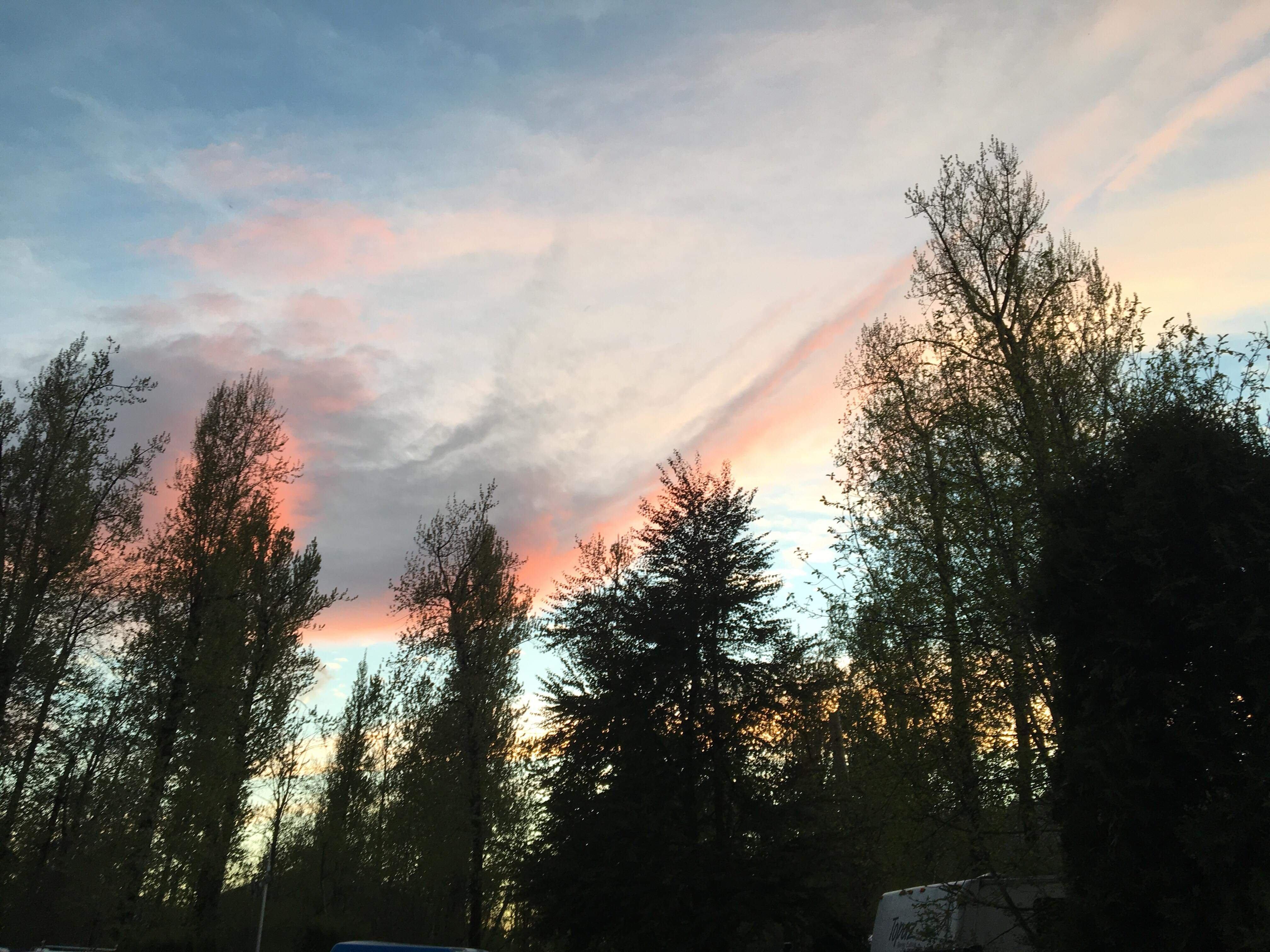 Cottonwood Meadows RV Country Club