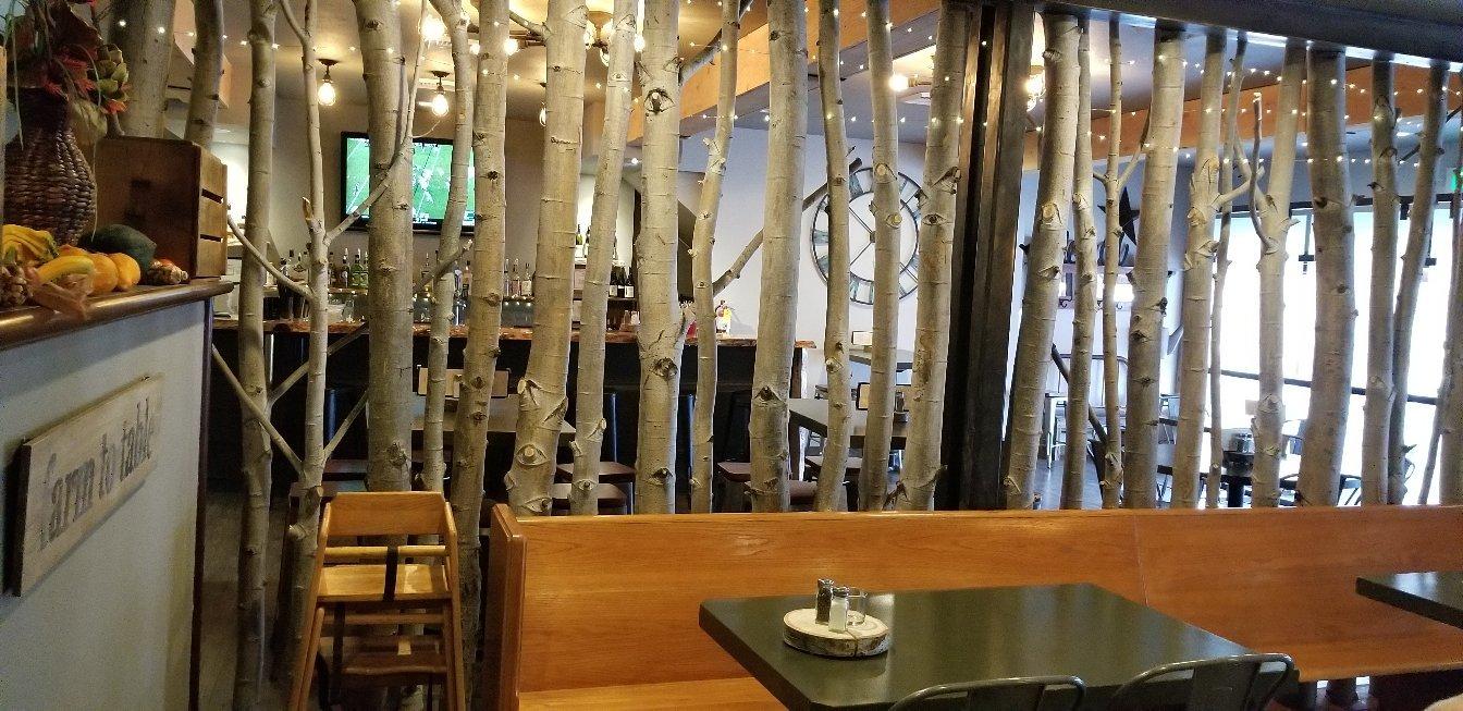 Photo by markbV5519PN