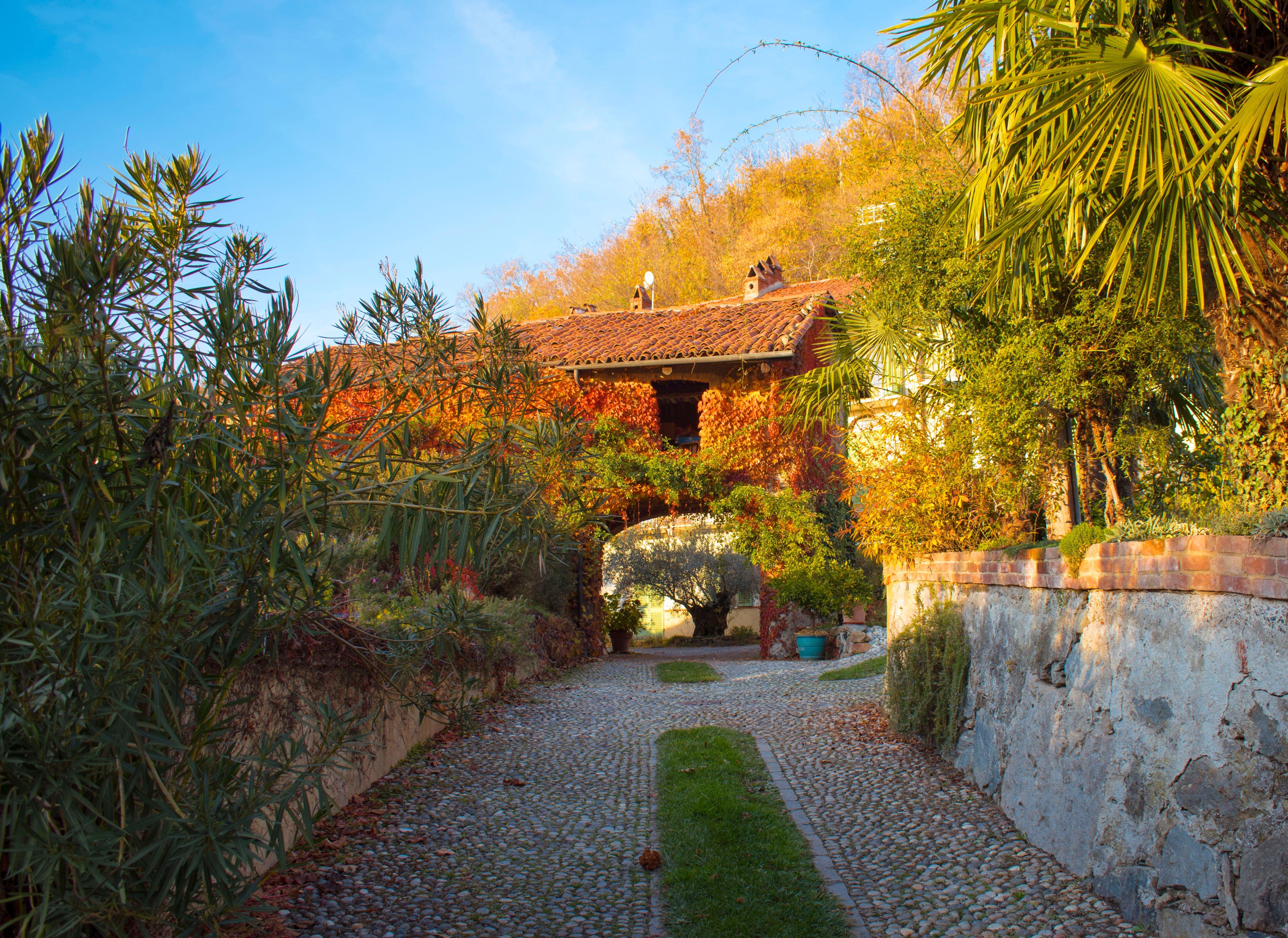 Azienda Pastoris Vini